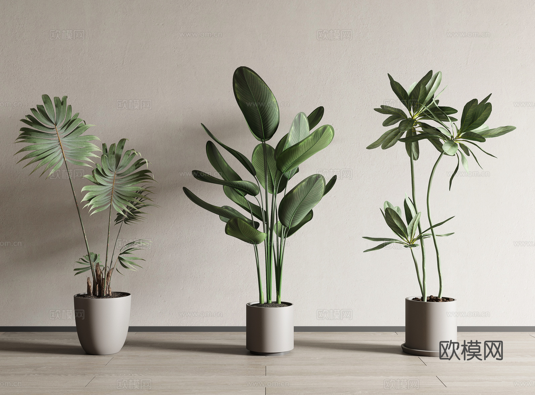 现代绿植盆栽 植物盆栽3d模型