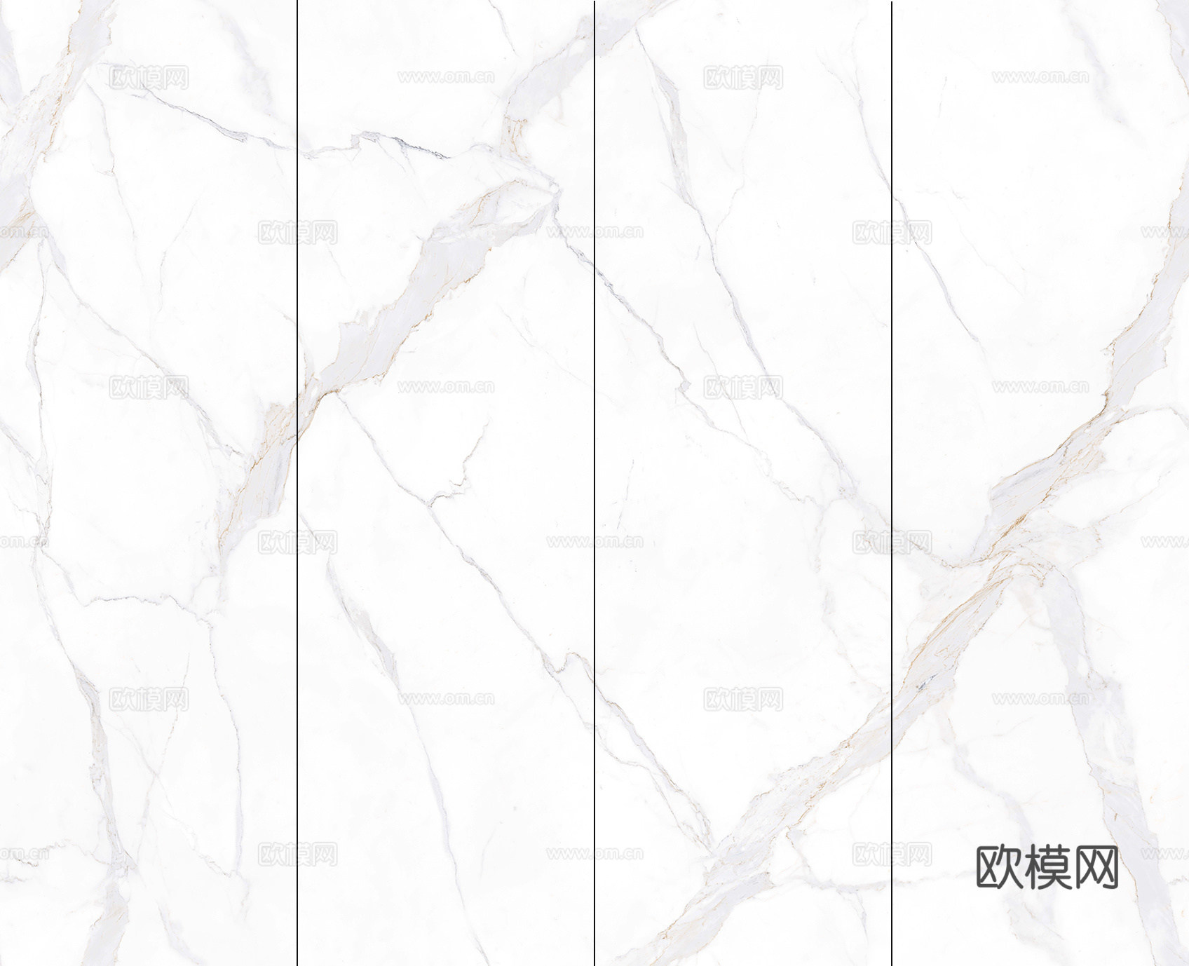 维罗纳白 (4)
