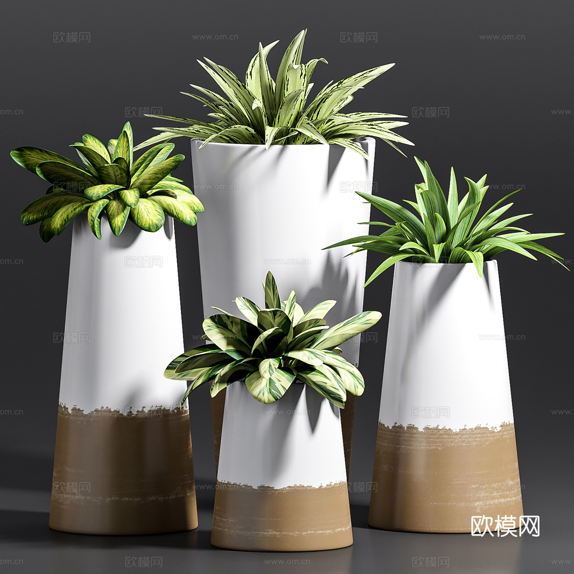 现代绿植盆栽 盆景绿植 盆栽组合su模型