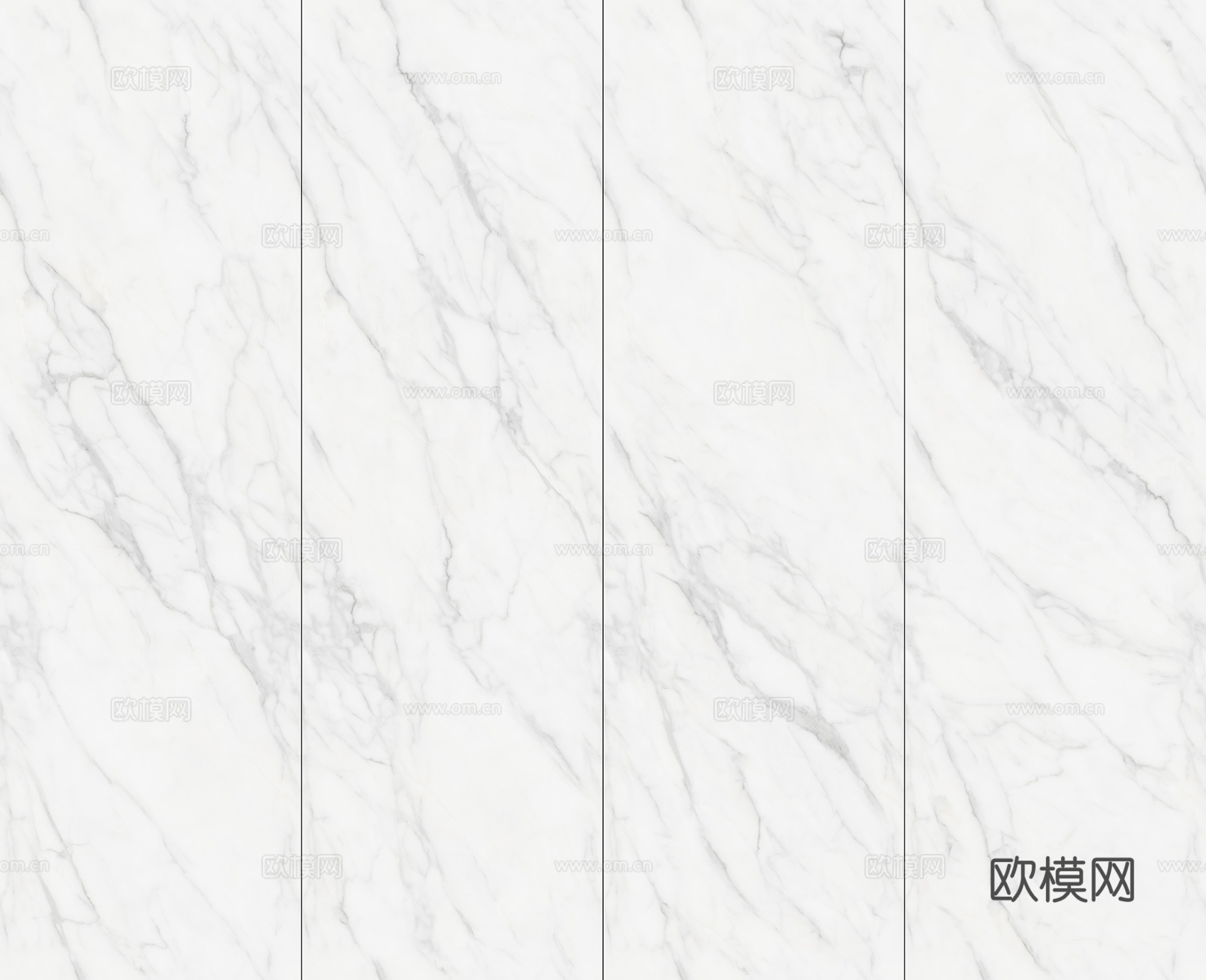 威尔士白 (4)