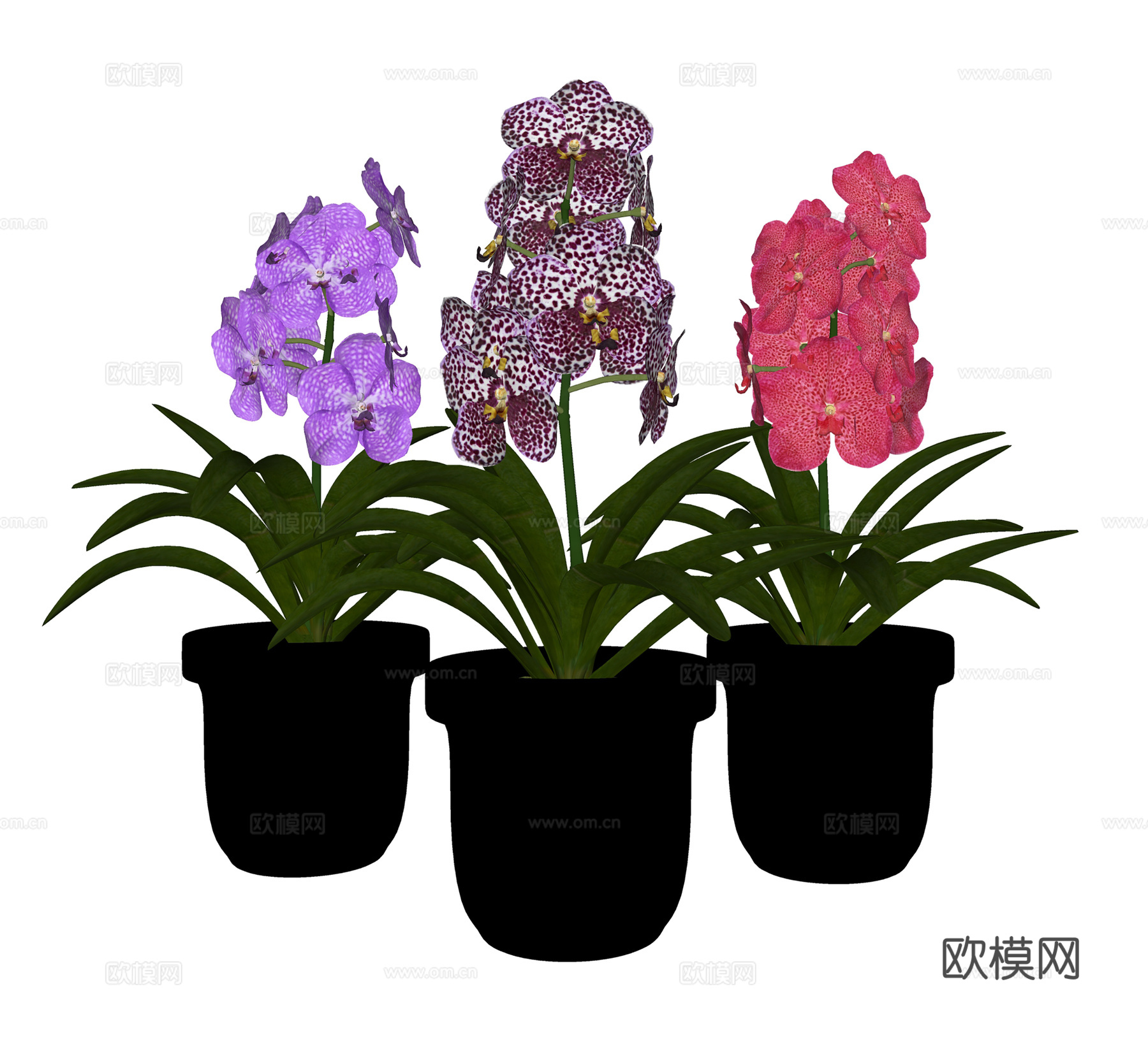 现代花瓶花卉 陶瓷花瓶插花 花卉组合su模型