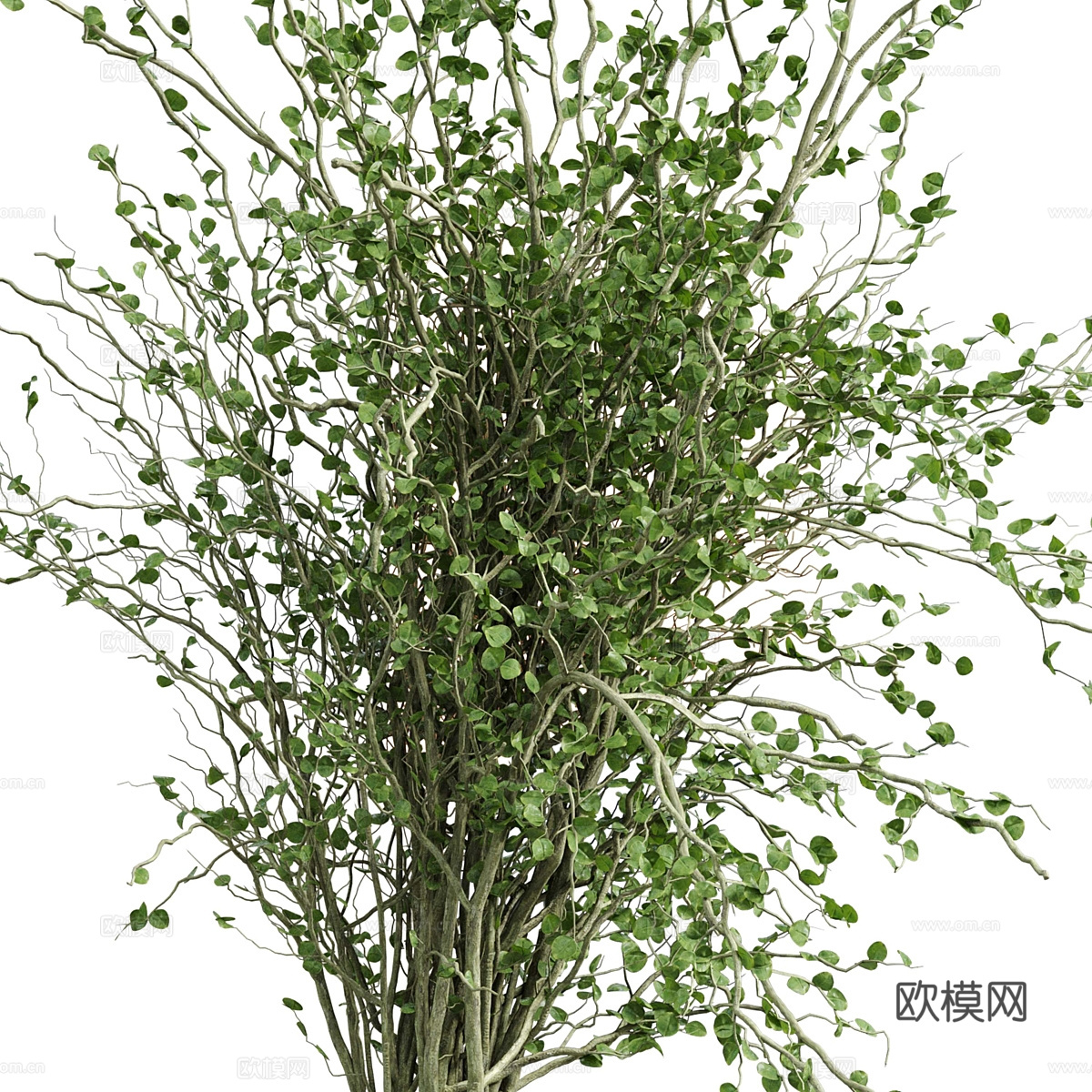 现代意式花瓶花艺3d模型