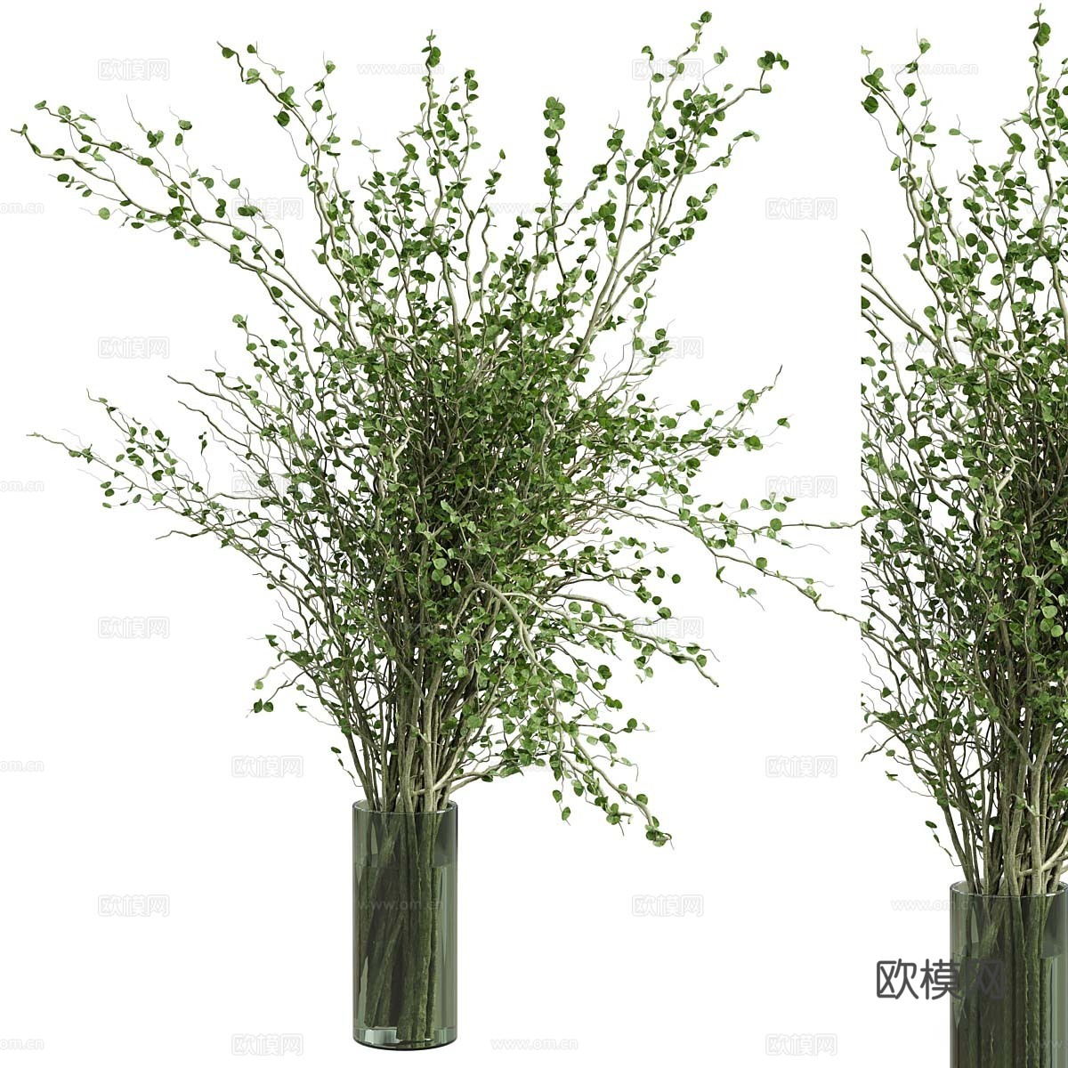 现代意式花瓶花艺3d模型