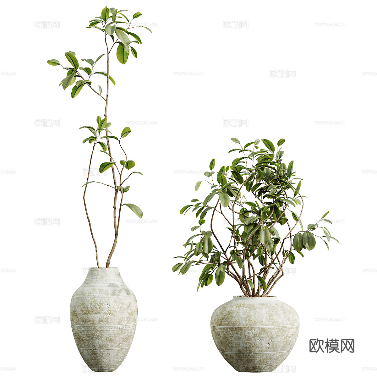 花瓶花卉3d模型