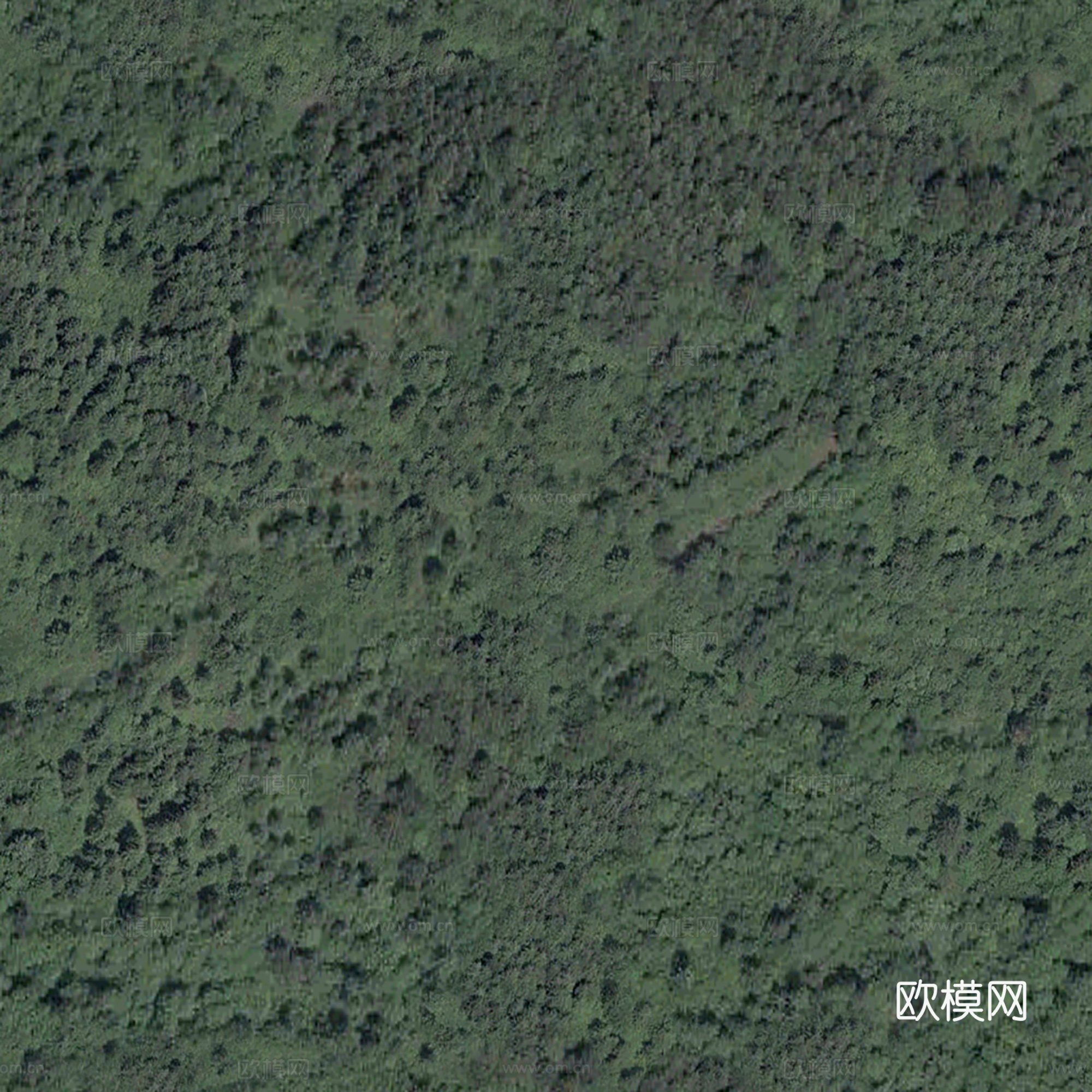 地表地面 粗糙地表 草皮地面
