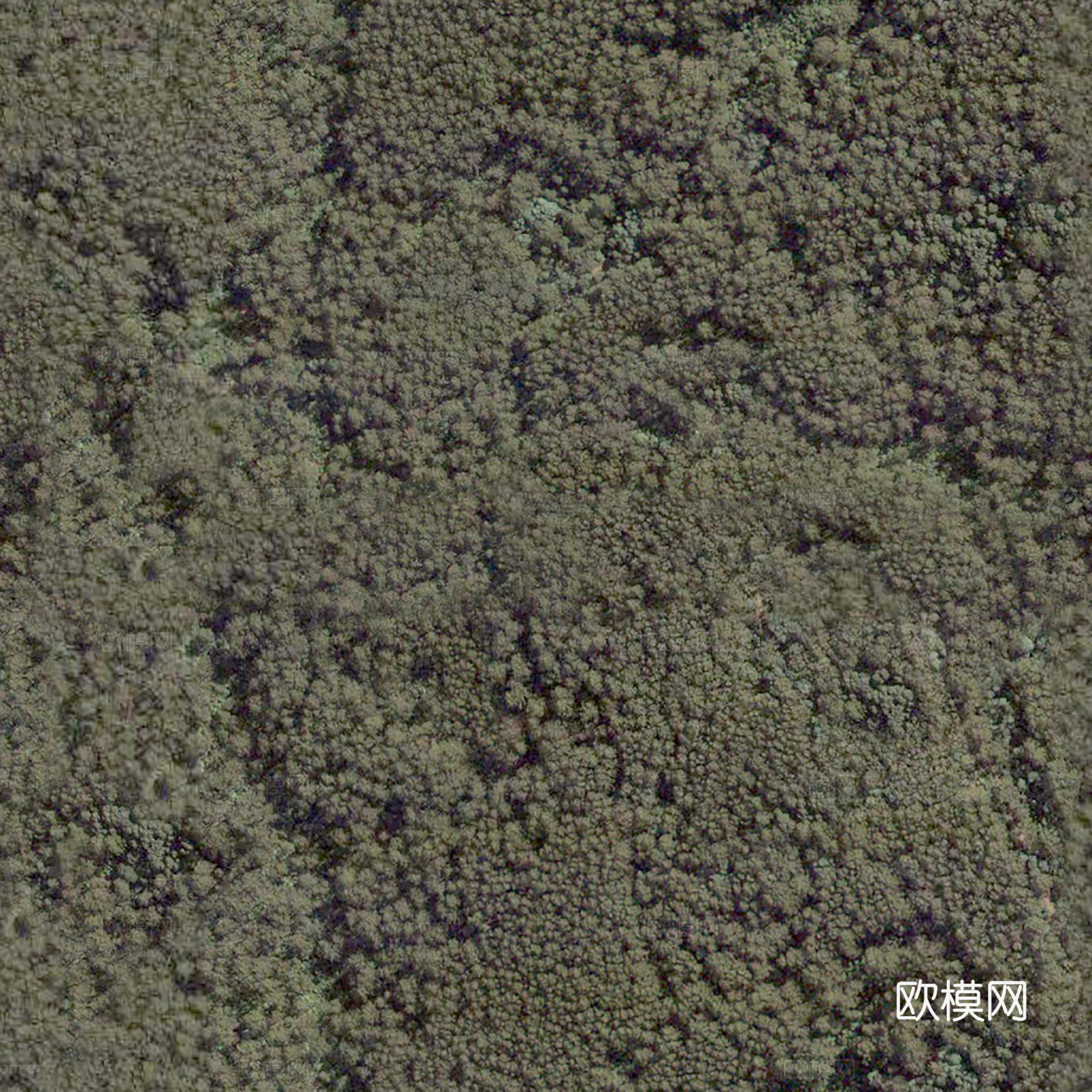 地表地面 粗糙地表 青苔地面