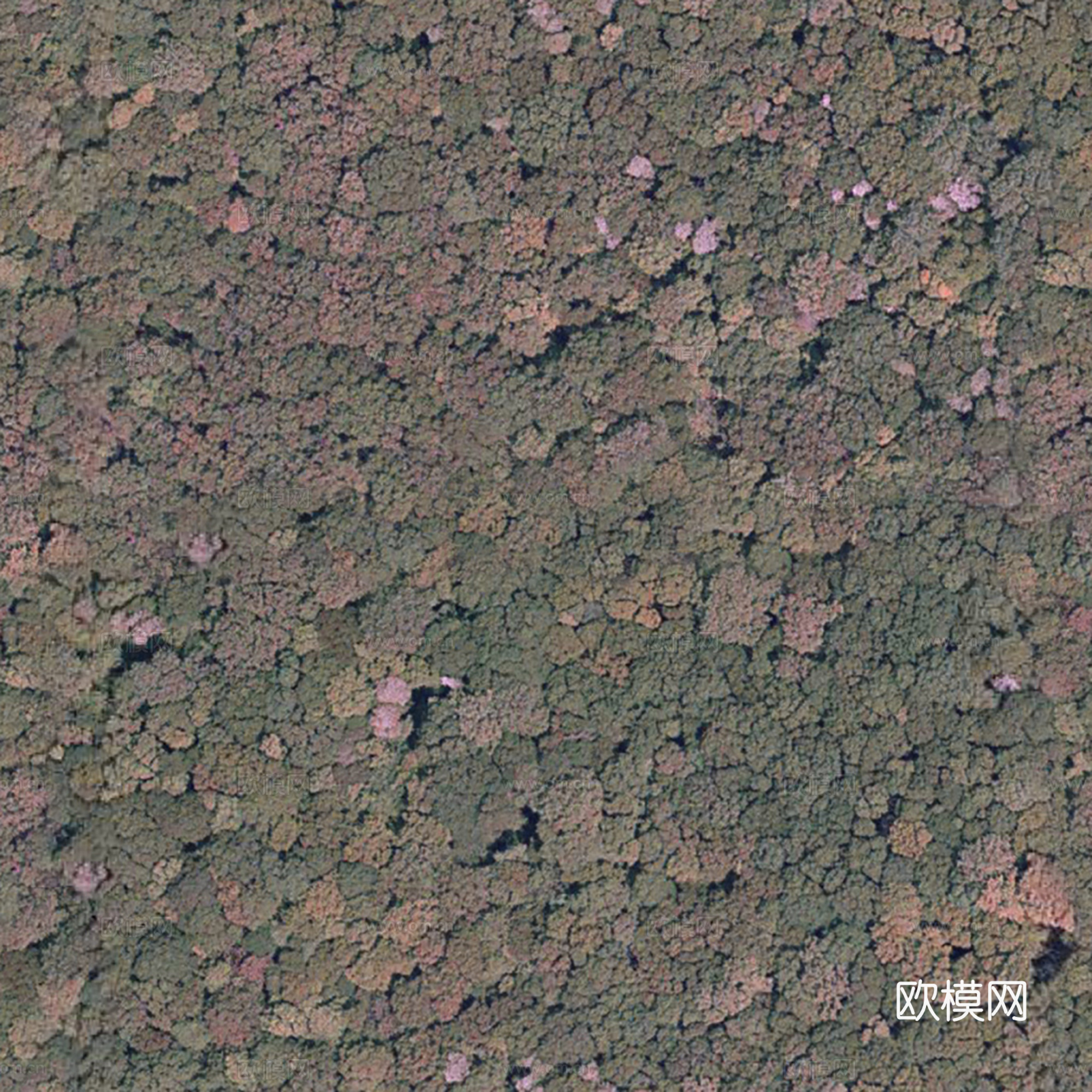 地表地面 粗糙地表 草皮地面