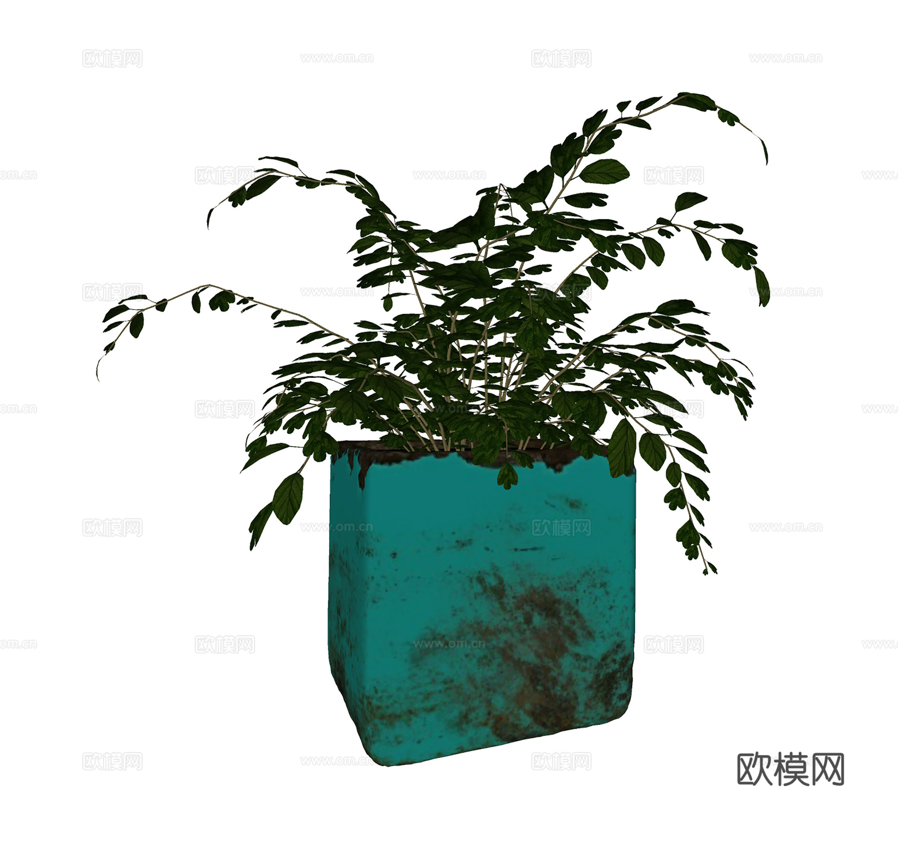 现代简约盆栽盆景  植物花草  室内绿植su模型