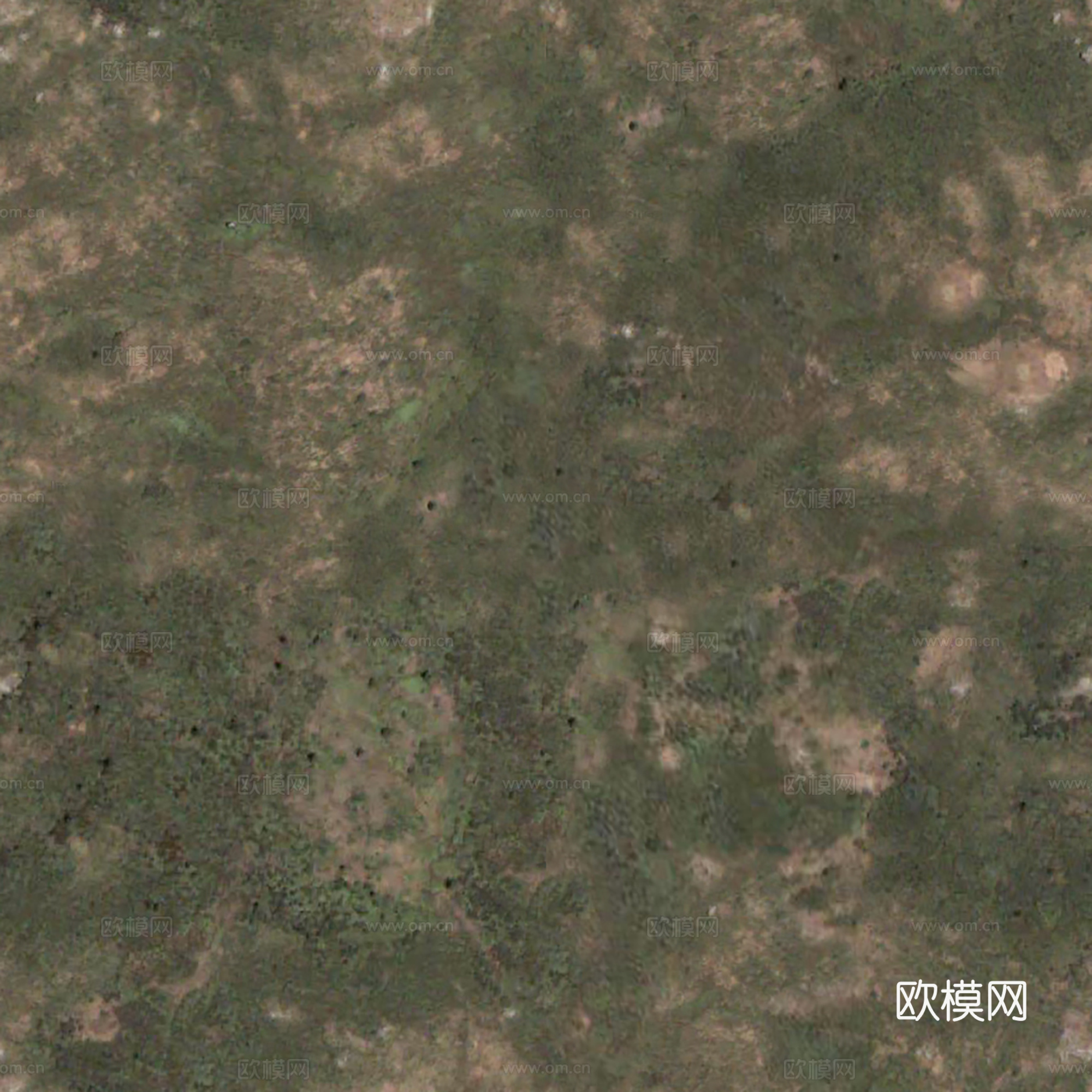 地表地面 粗糙地表 草皮地面