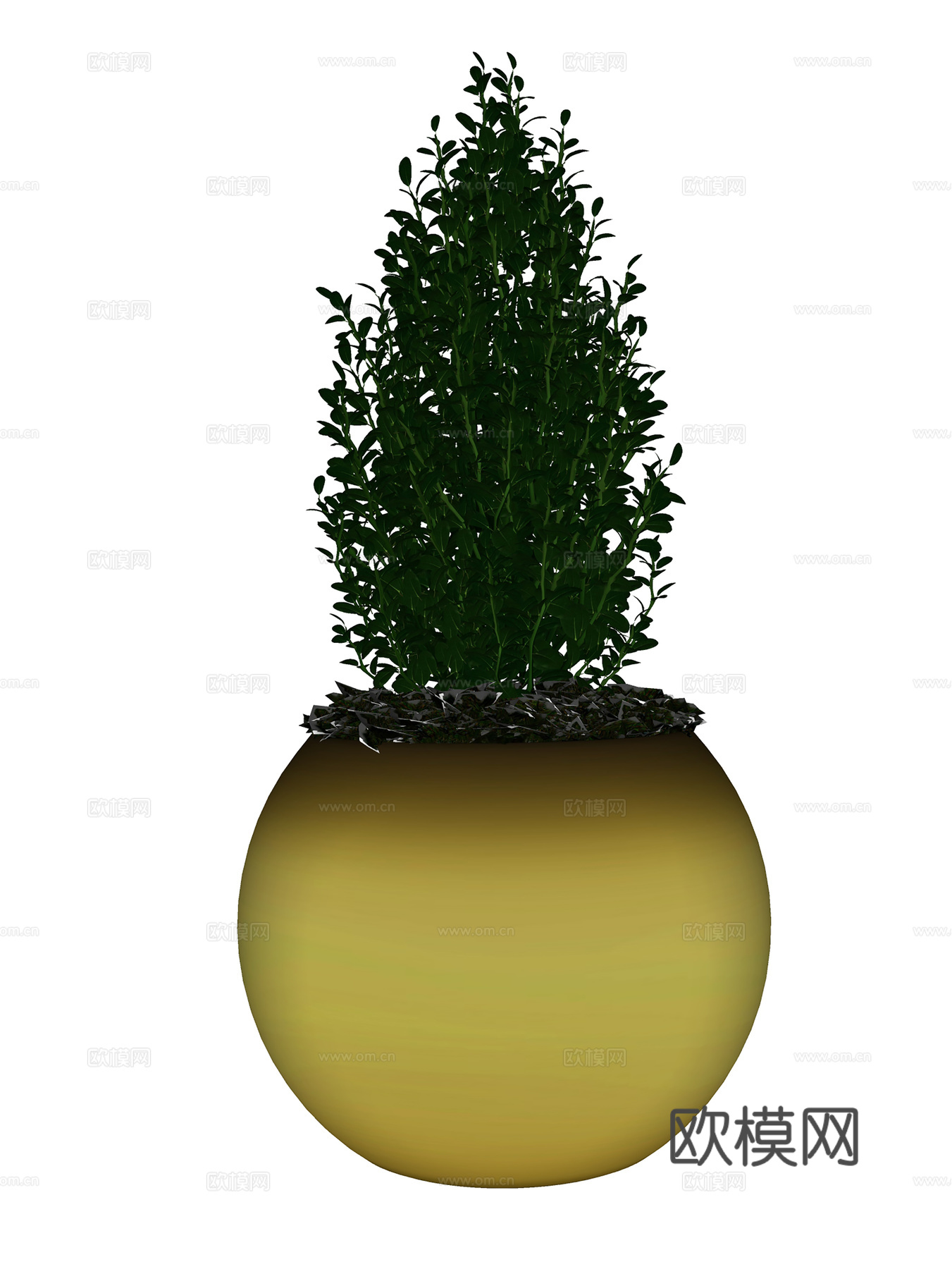 现代简约盆栽盆景  植物花草  室内绿植su模型