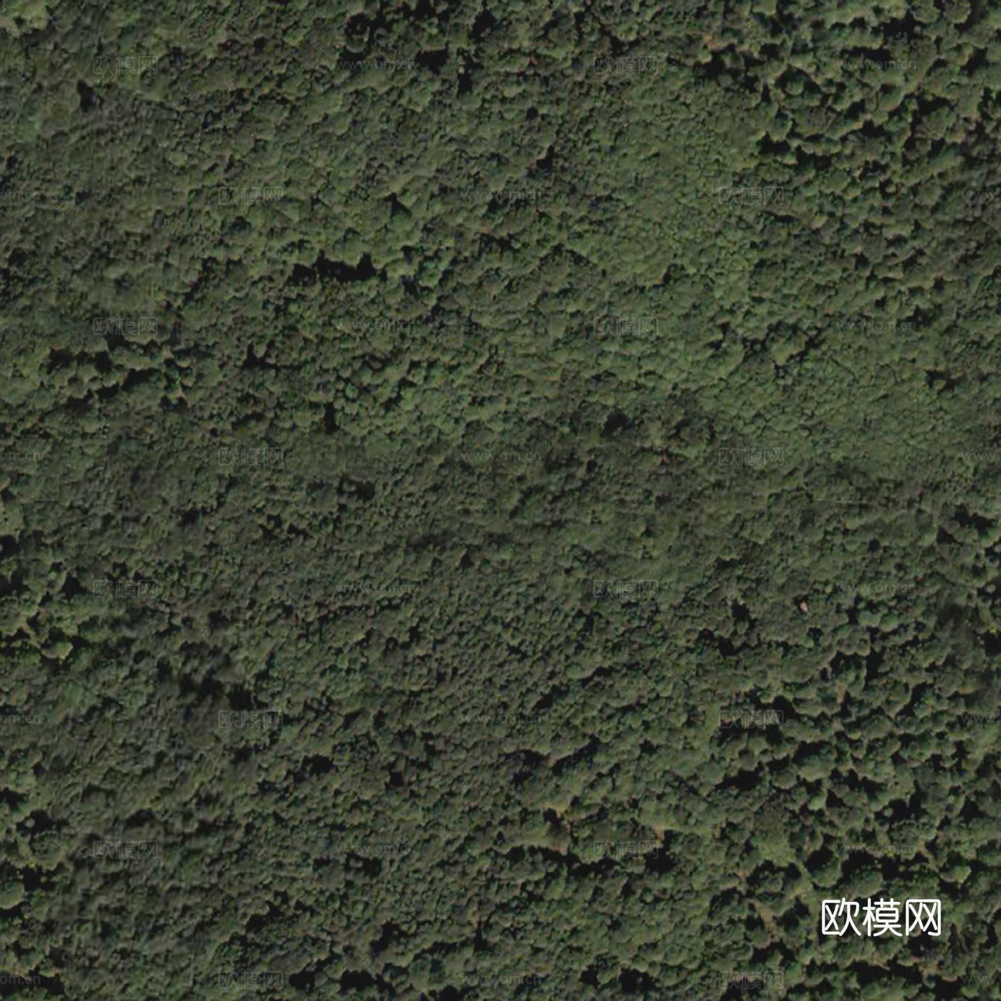 地表地面 粗糙地表 大自然地表