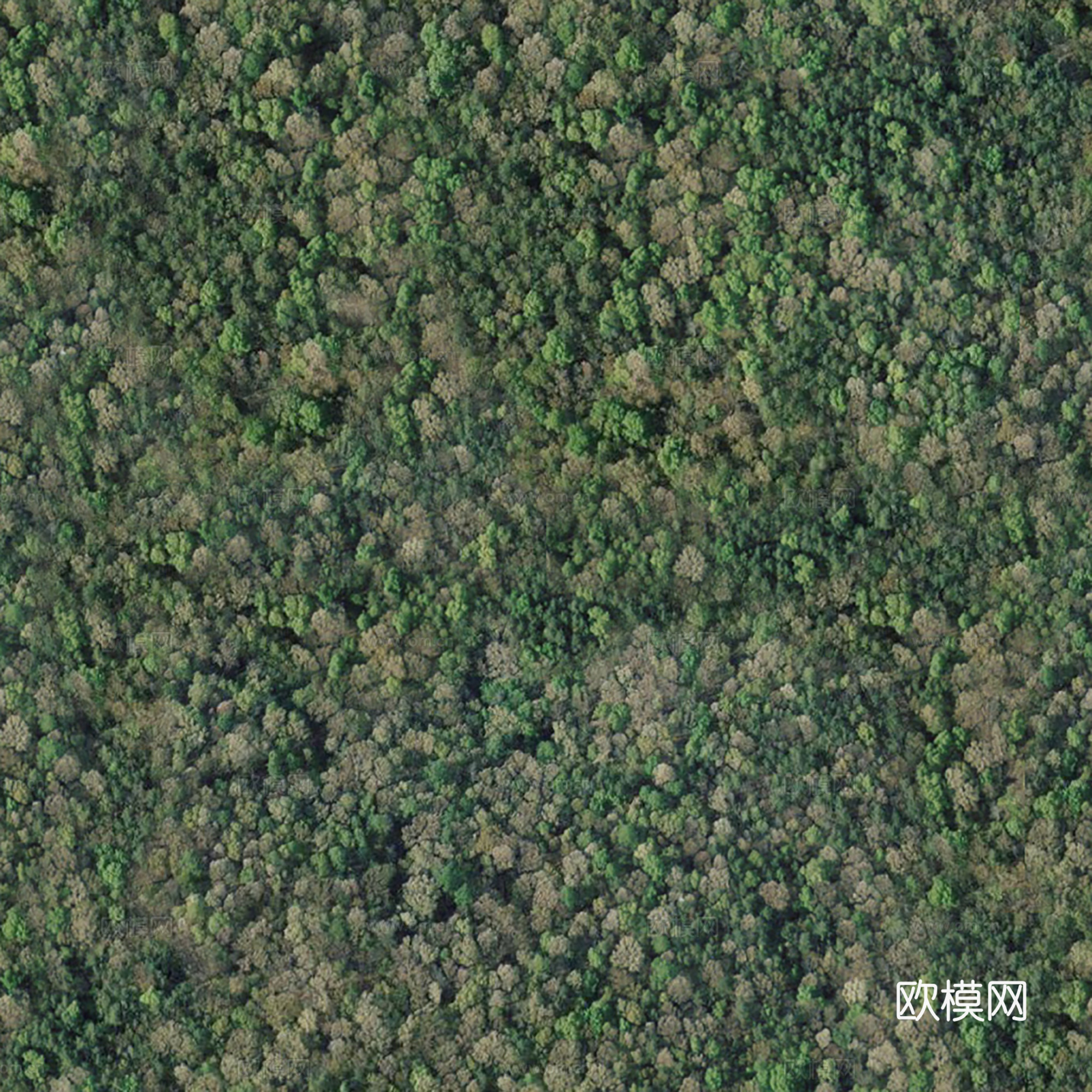 地表地面 粗糙地表 青苔地面