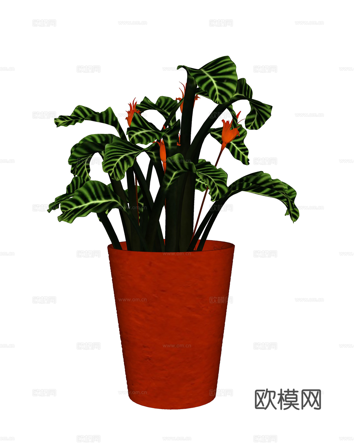 现代绿植 盆栽盆景  室内绿植su模型