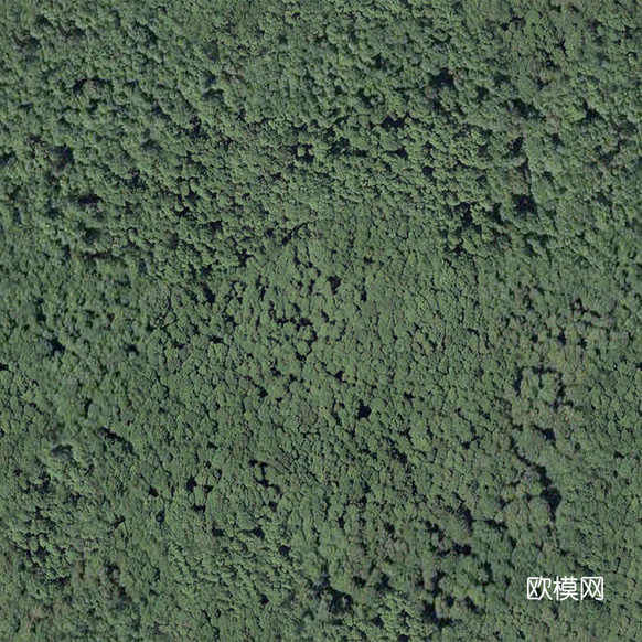 地表地面 粗糙地表 草皮地面下載