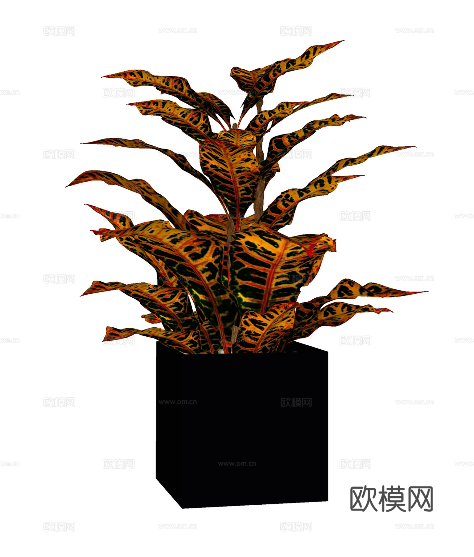 现代盆栽盆景  室内盆栽  绿植盆景su模型