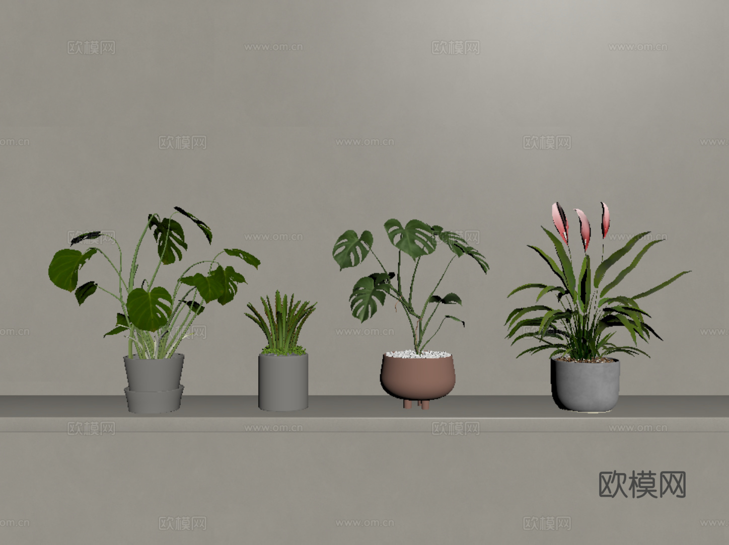 现代花瓶花卉 花艺 花草 龟背竹su模型