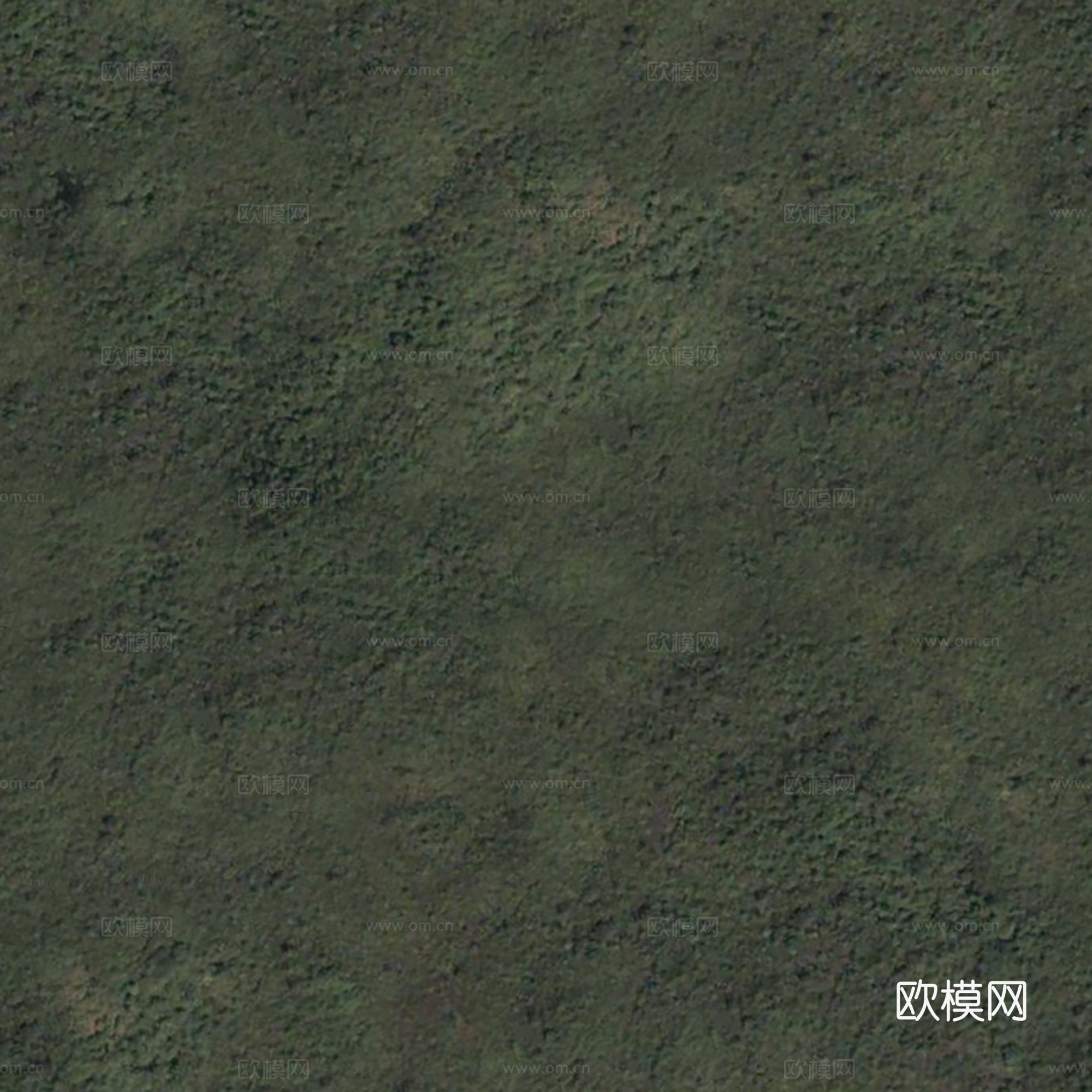 地表地面 粗糙地表 大自然地表下载