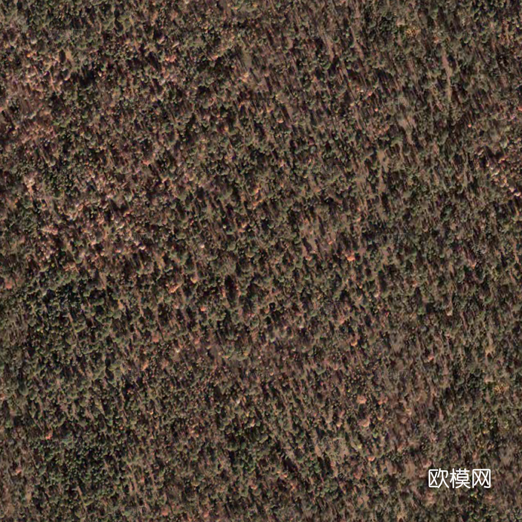 地表地面 粗糙地表 大自然地表下載