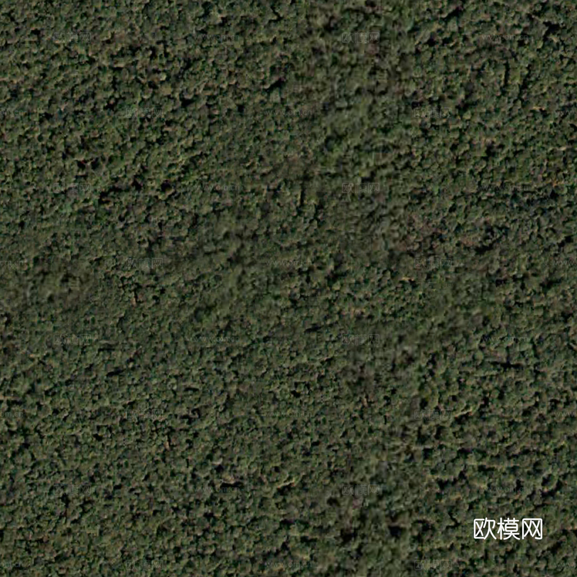 地表地面 粗糙地表 大自然地表