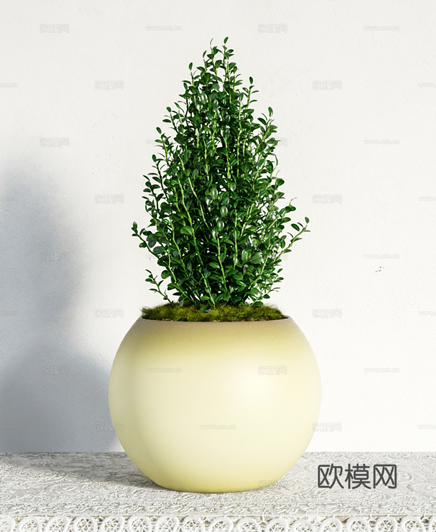 现代简约盆栽盆景  植物花草  室内绿植su模型