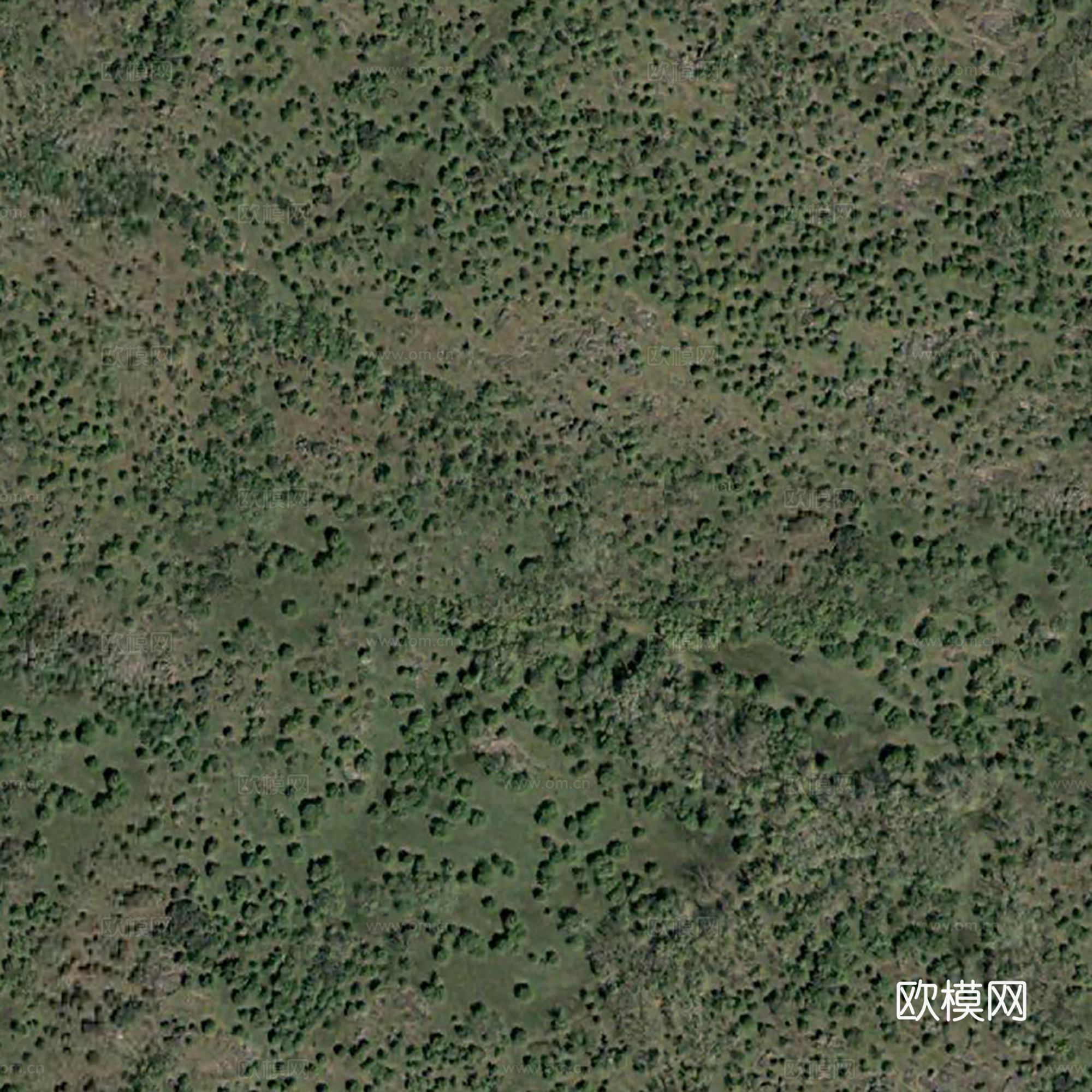 地表地面 粗糙地表 水泥地面