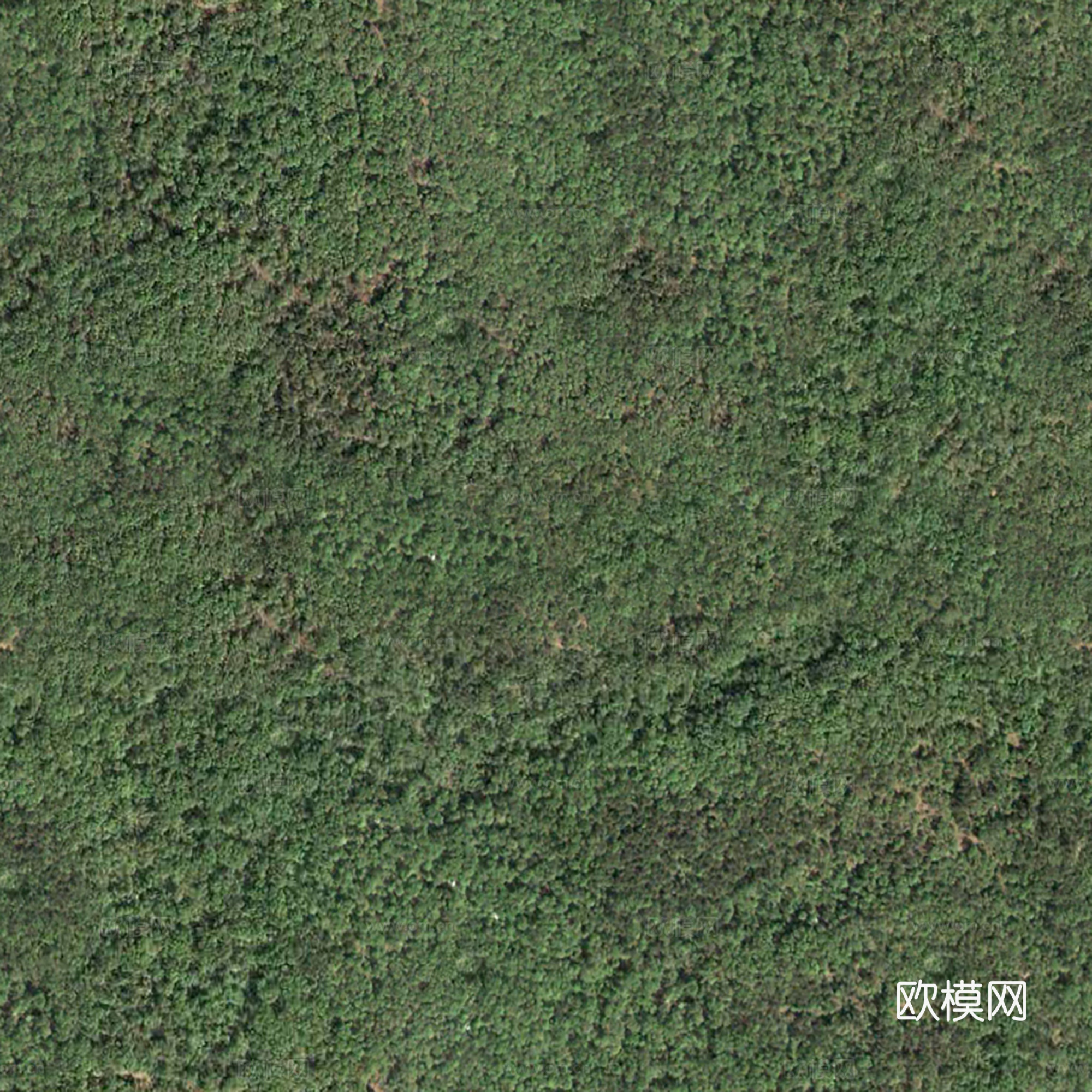 地表地面 粗糙地表 青苔地面