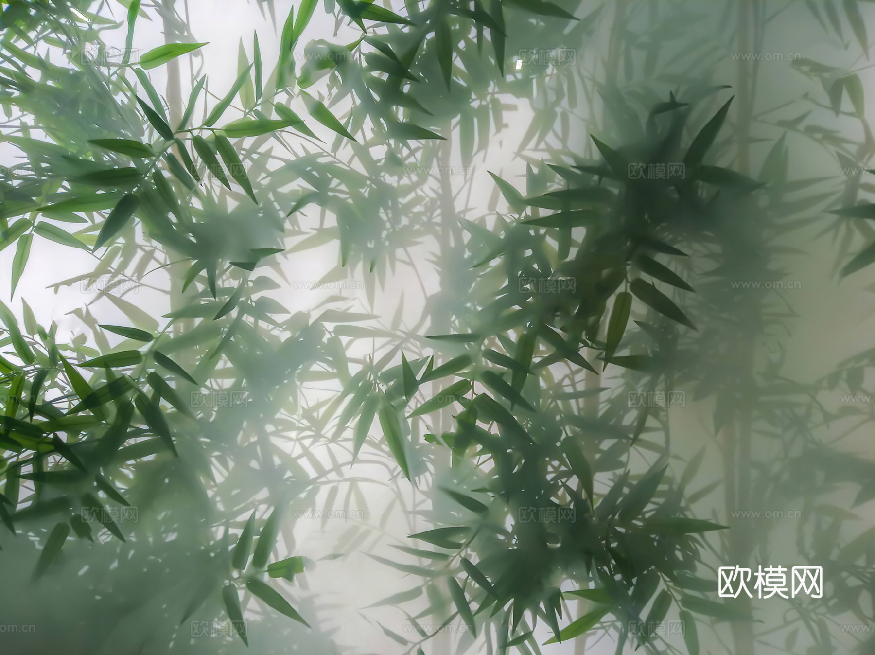 植物竹子艺术磨砂玻璃贴图