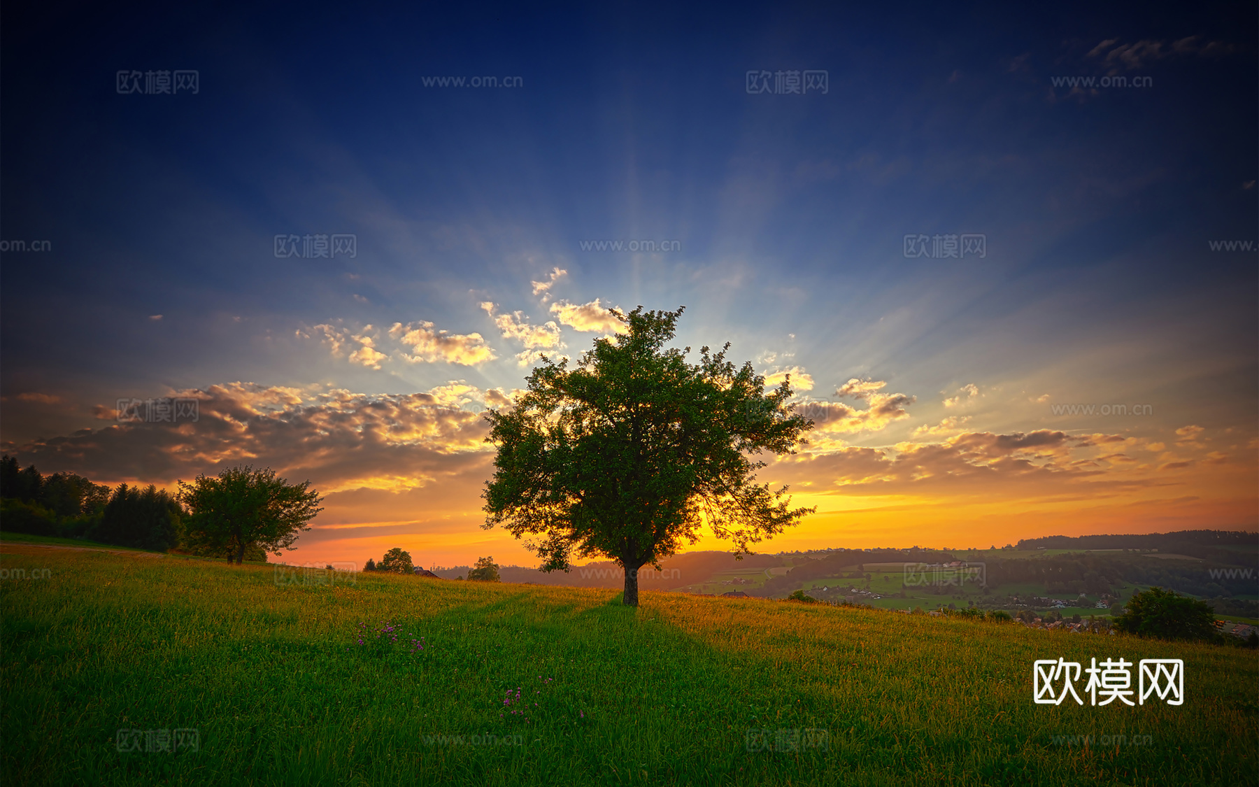 电视屏电子屏 电脑屏 投屏屏幕下载
