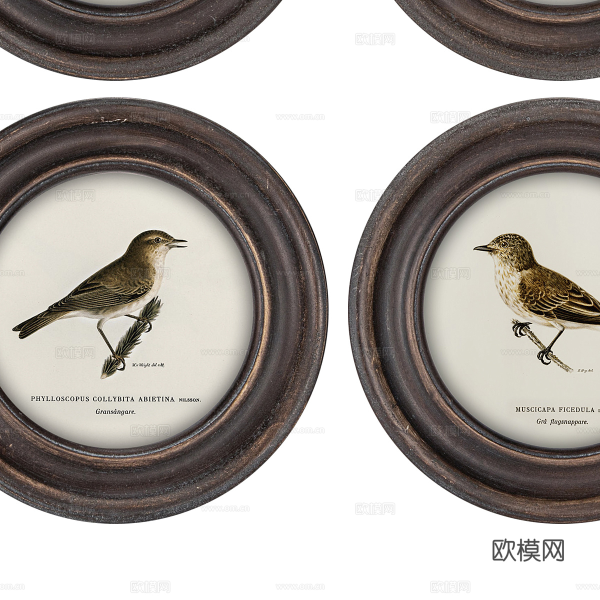美式圆形装饰画框3d模型