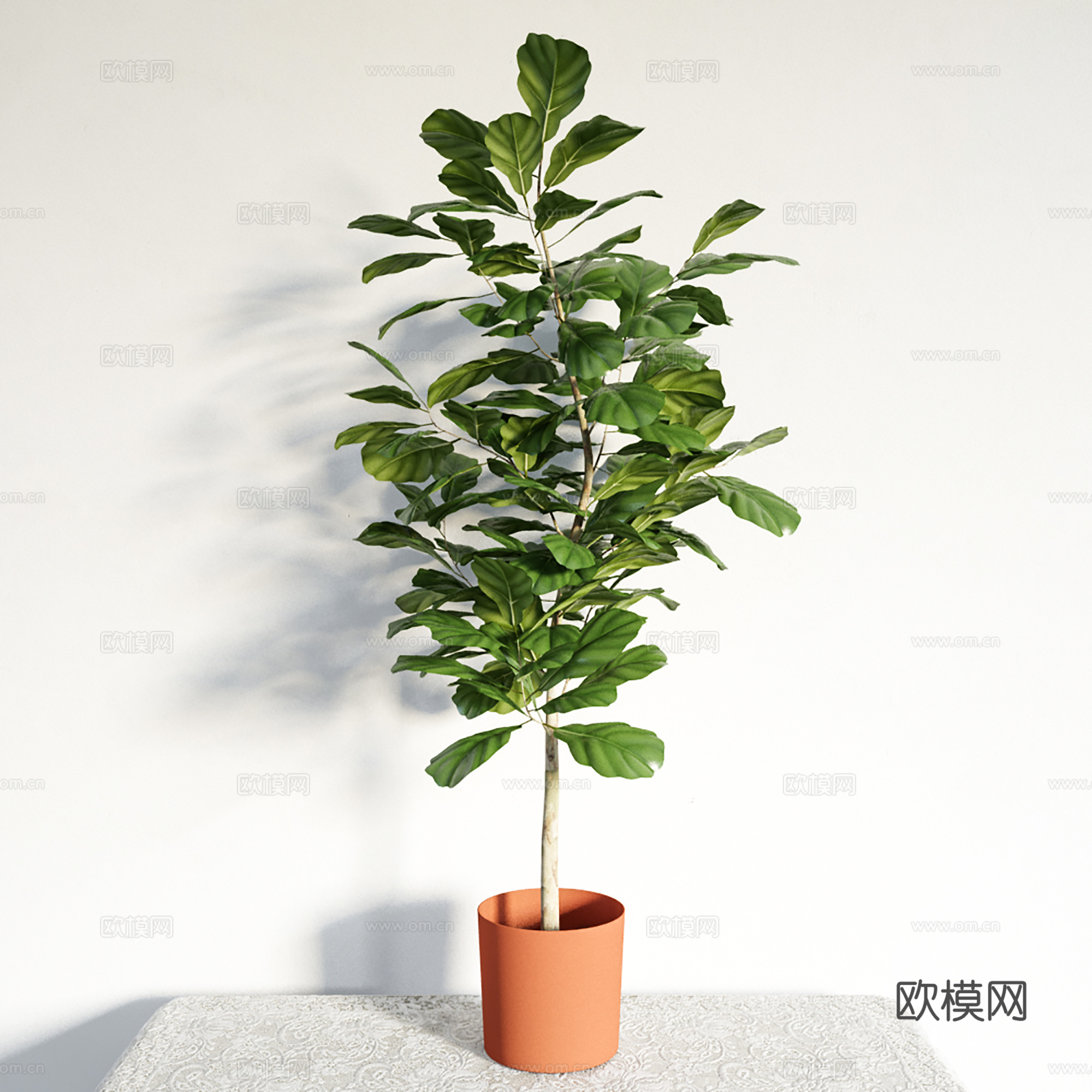 现代盆栽盆景 绿植盆栽  室内盆景su模型
