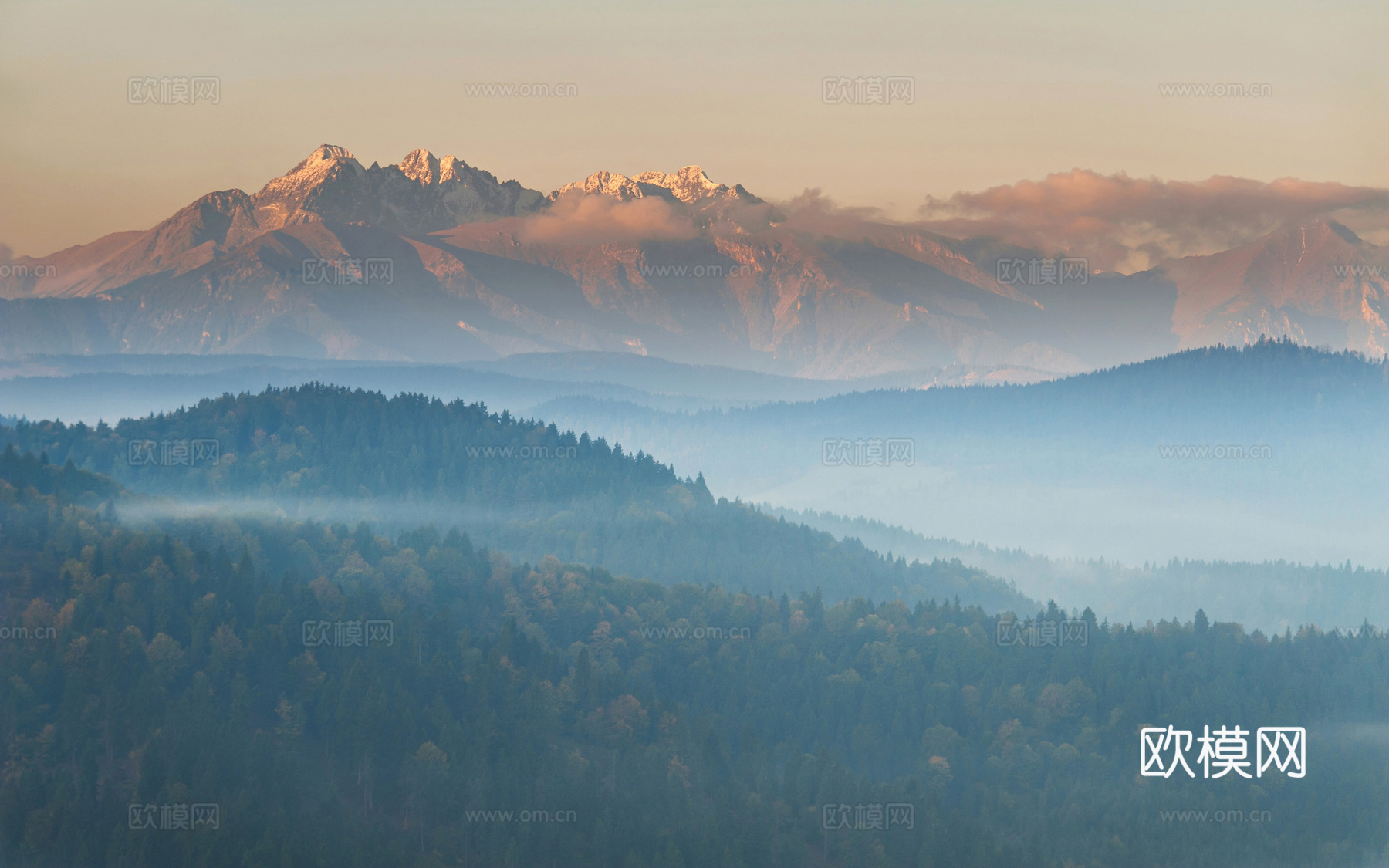 电视屏电子屏 电脑屏 投屏屏幕下载