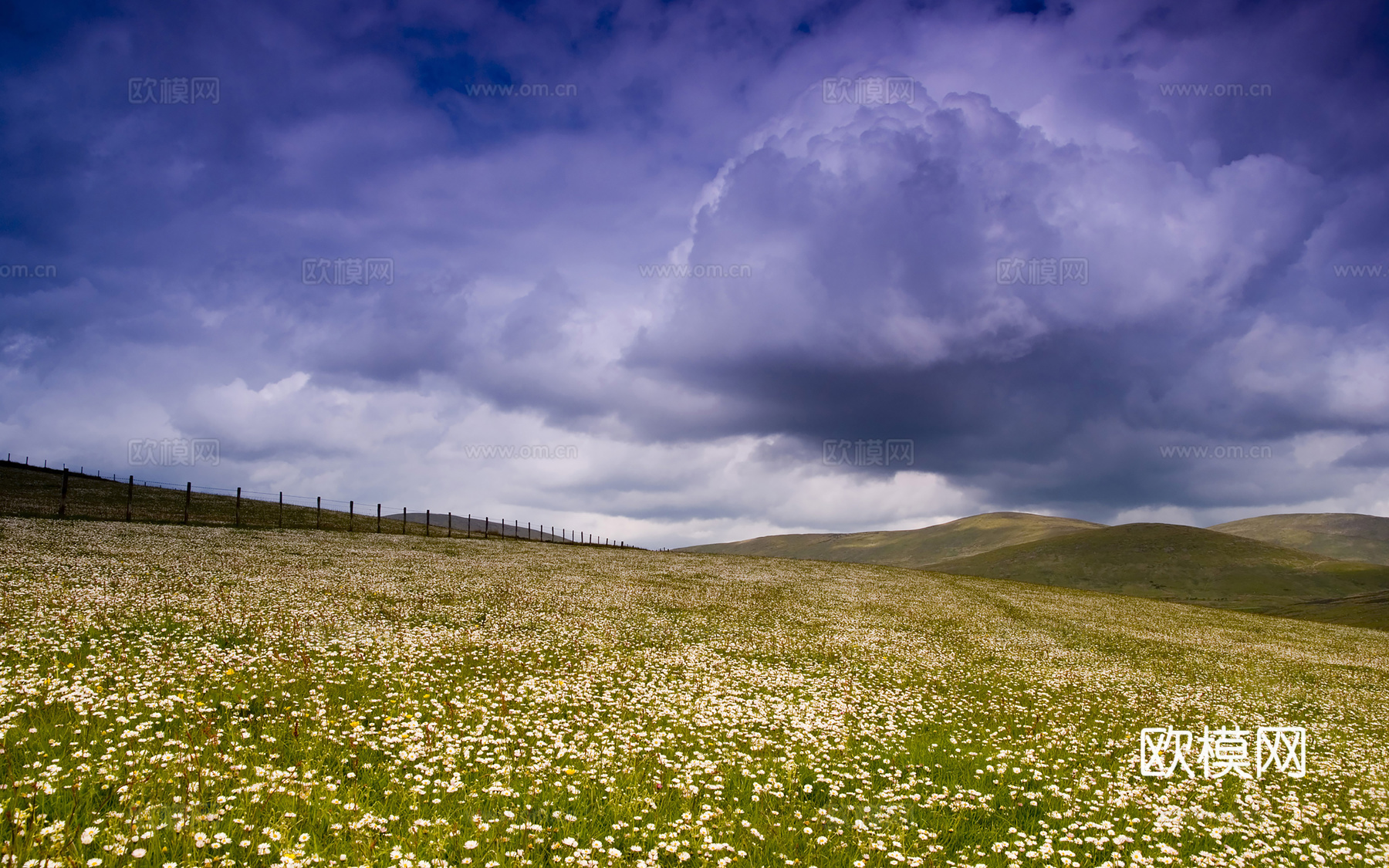 电视屏电子屏 电脑屏 投屏屏幕下载