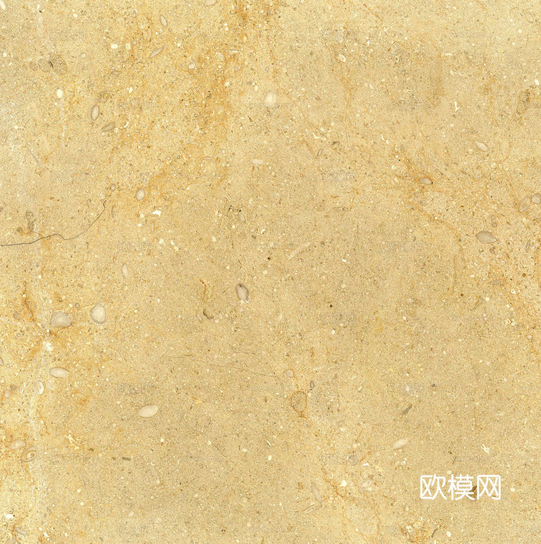 现代高清大理石  瓷砖地砖  墙砖
