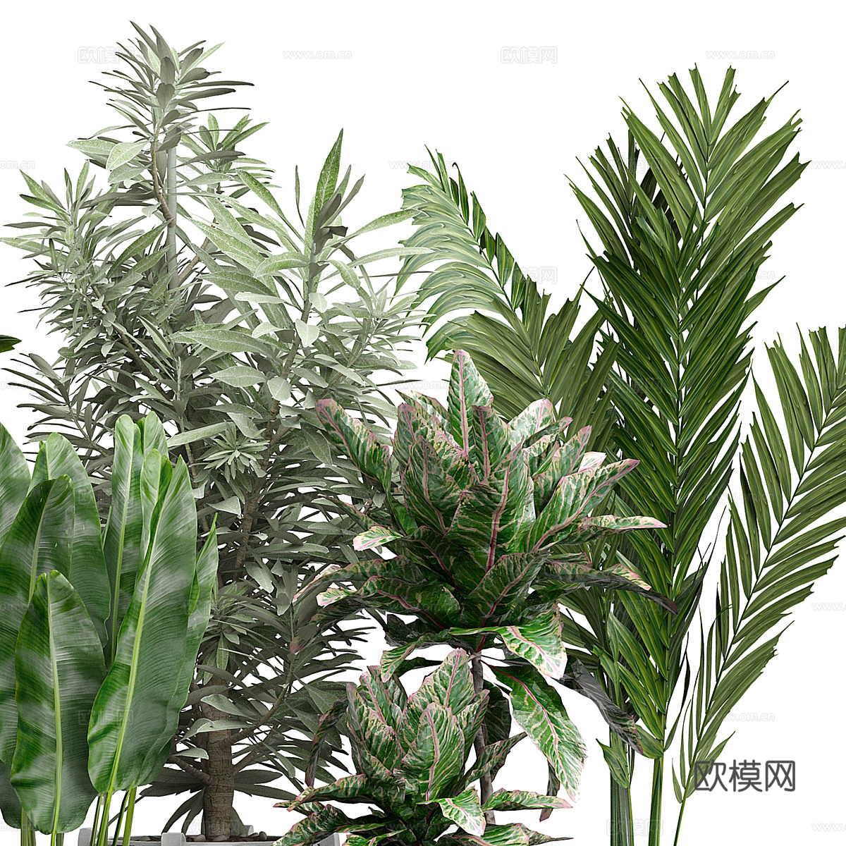 新中式轻奢绿植盆栽3d模型