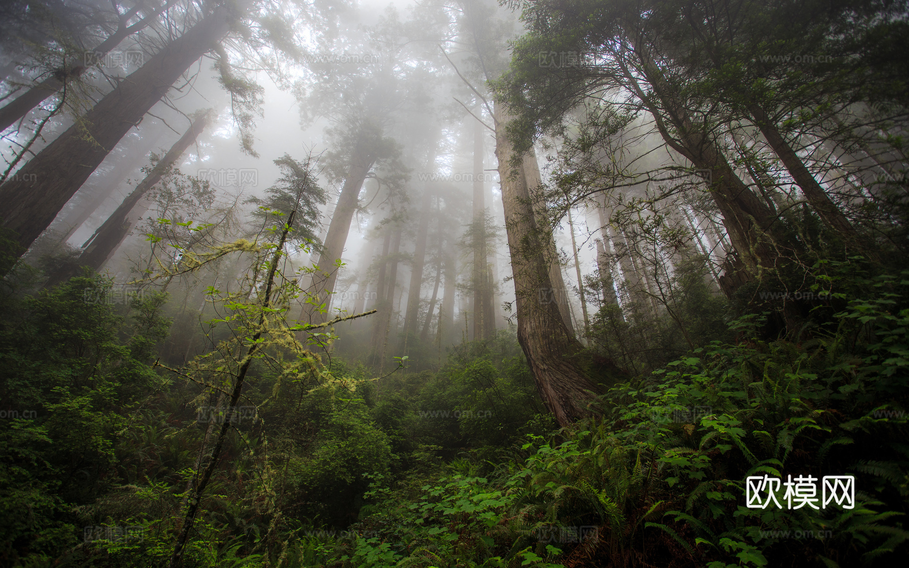 电视屏电子屏 电脑屏 投屏屏幕下载