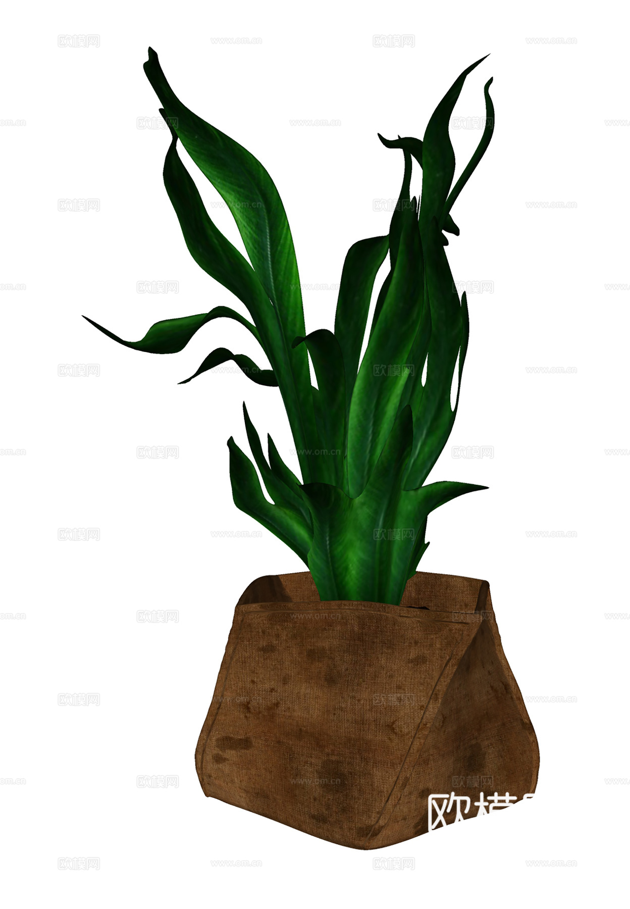 现代盆栽盆景 绿植盆栽  室内盆景su模型
