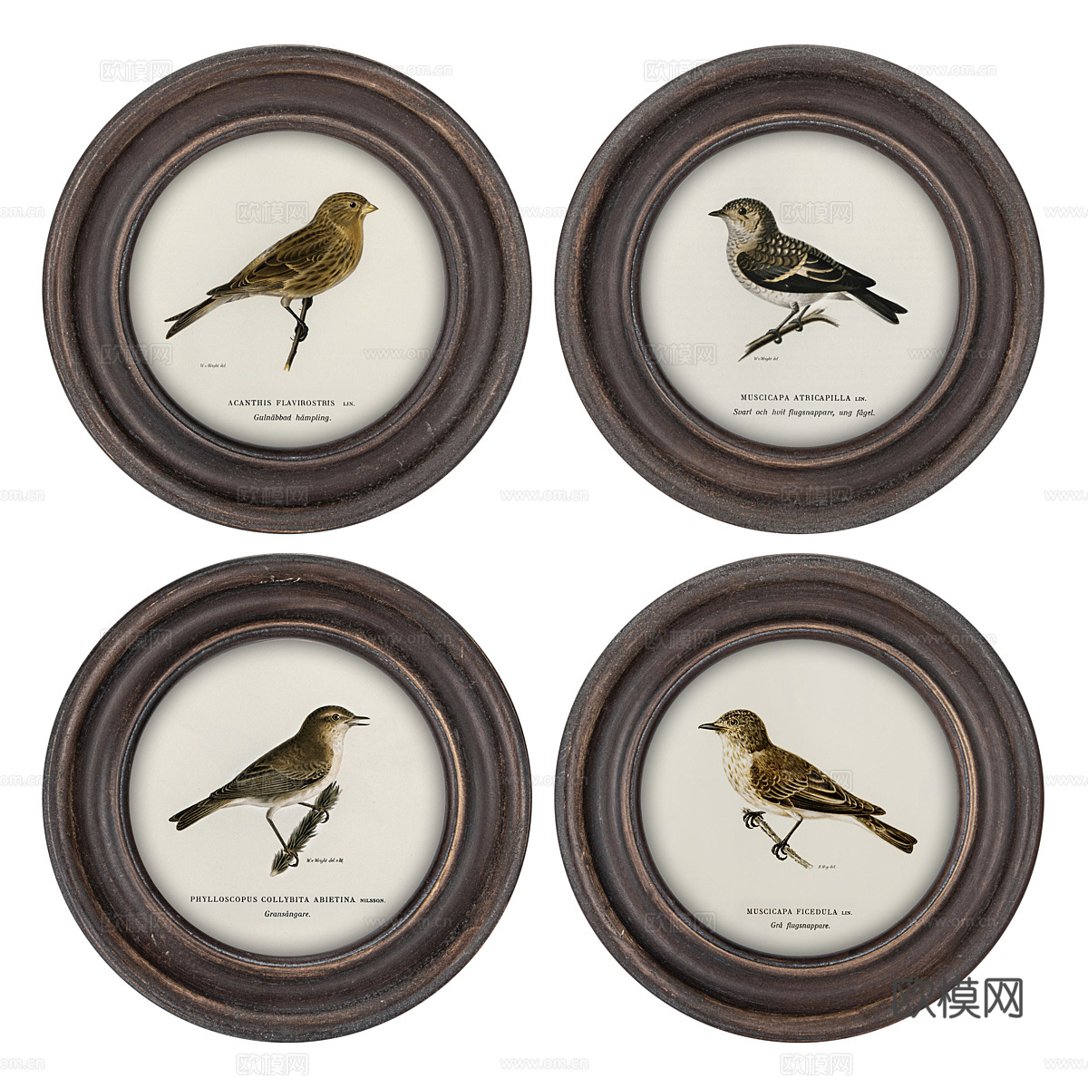 美式圆形装饰画框3d模型