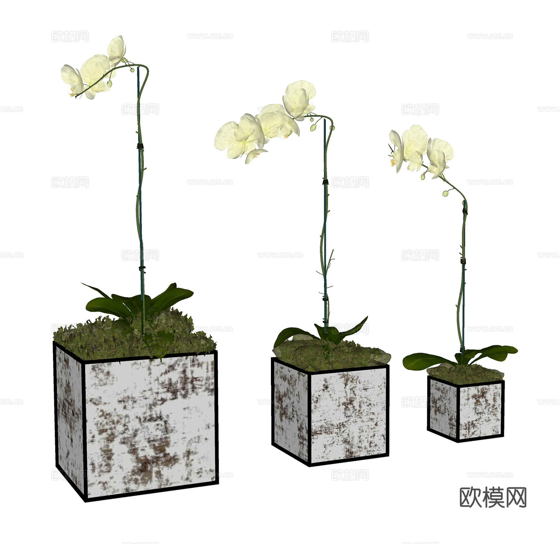 现代盆栽盆景 绿植盆栽  室内盆景su模型