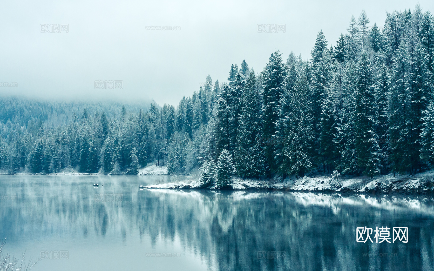 电视屏电子屏 电脑屏 投屏屏幕下载