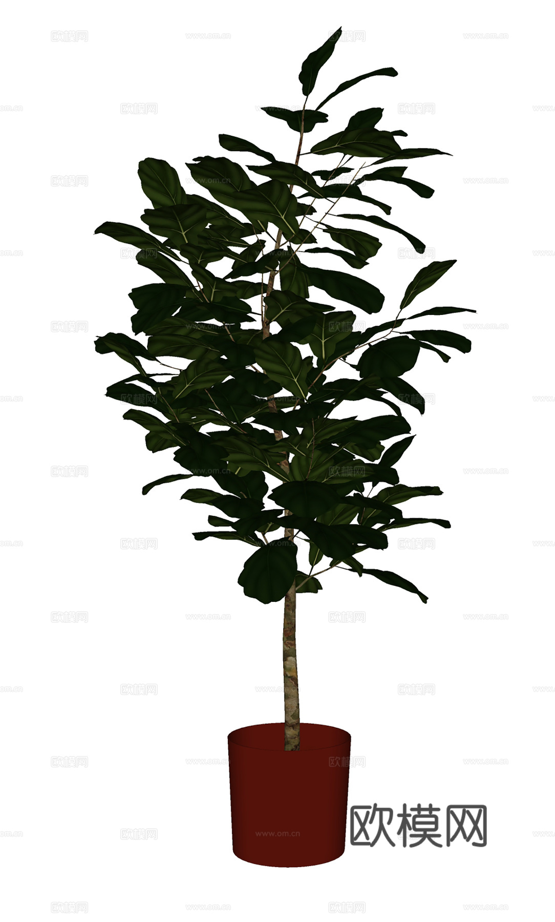 现代盆栽盆景 绿植盆栽  室内盆景su模型