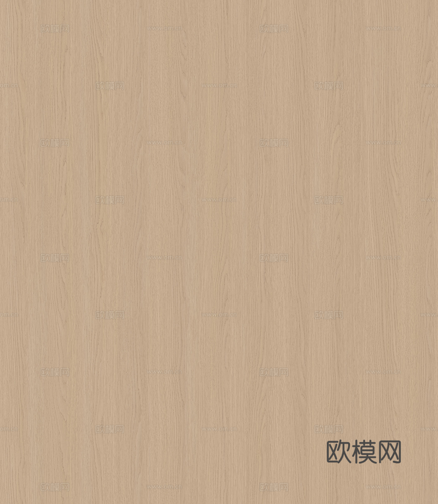 现代无缝原木橡木浅色木纹