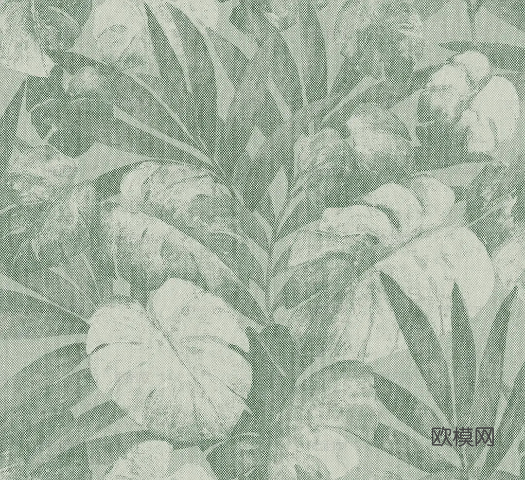 绿色植物壁纸