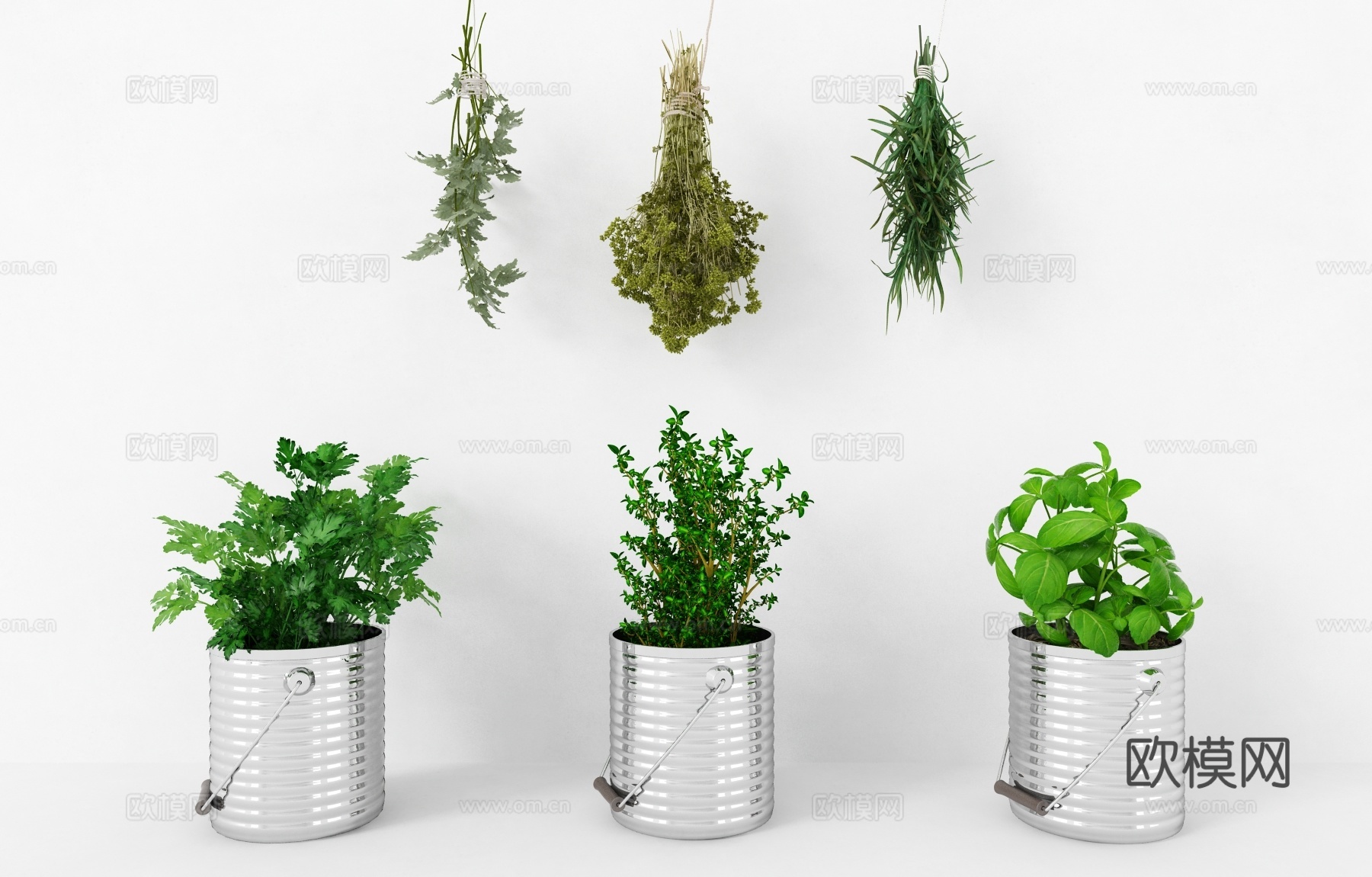 小盆栽 厨房摆件 餐桌摆件 植物挂饰 厨房挂饰 橱柜摆件3d模型
