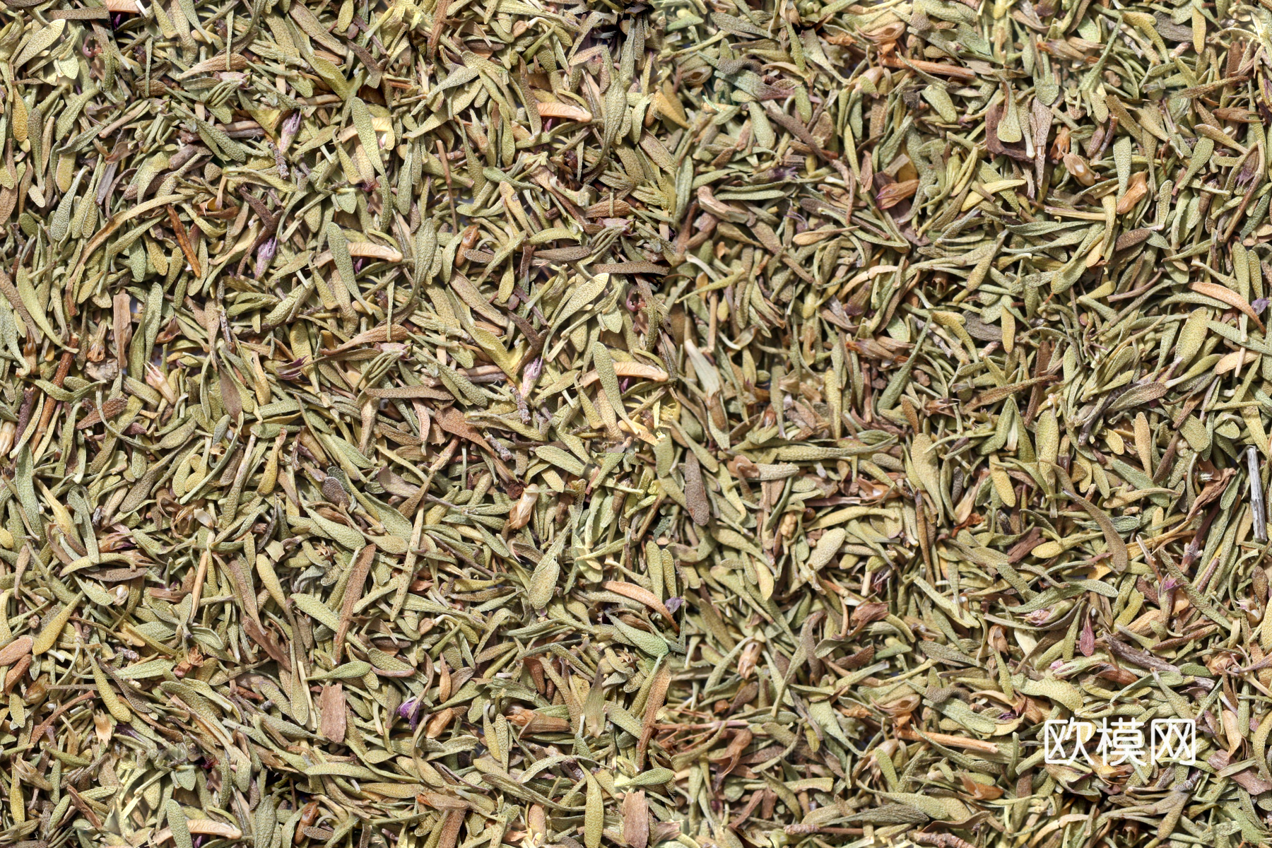 无缝香料麝香草 食物贴图
