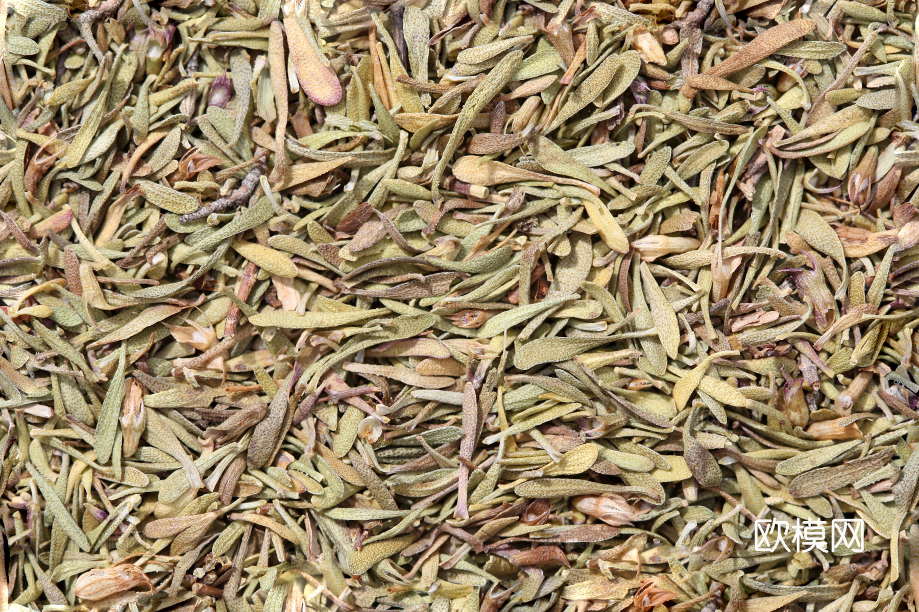 无缝香料麝香草 食物贴图