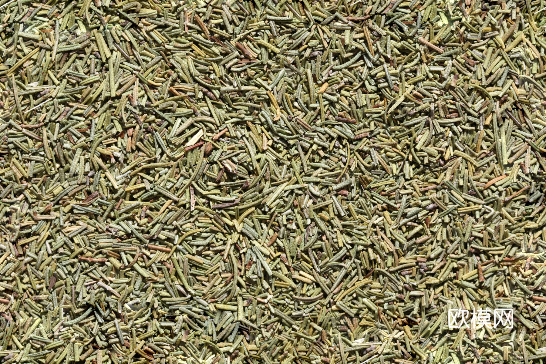 无缝香料迷迭香 现代美食