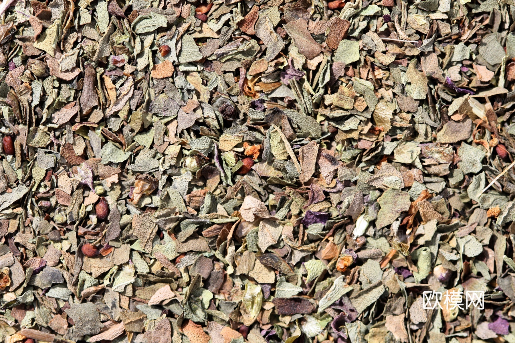 无缝香料 美食食物贴图