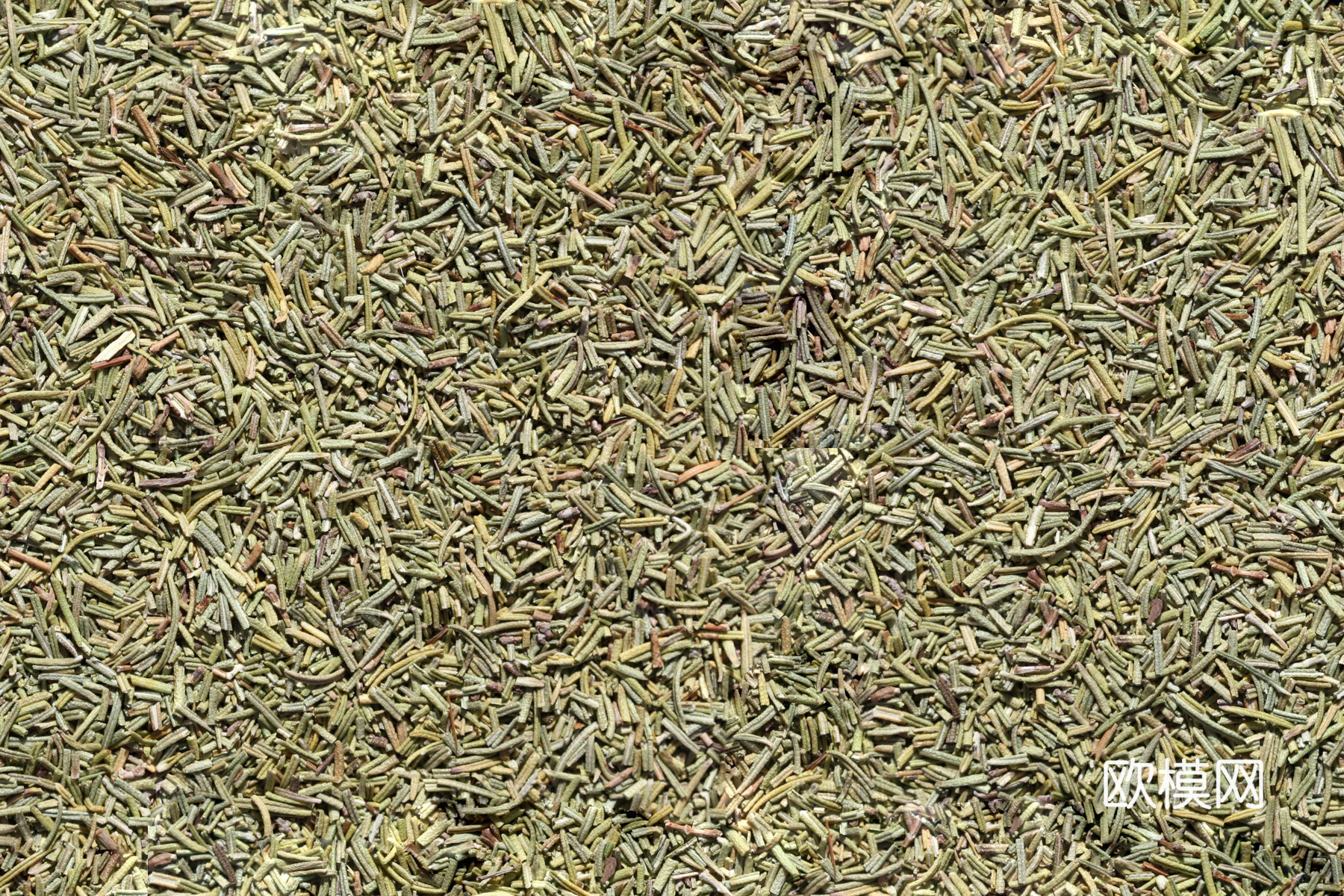 无缝香料迷迭香 现代美食