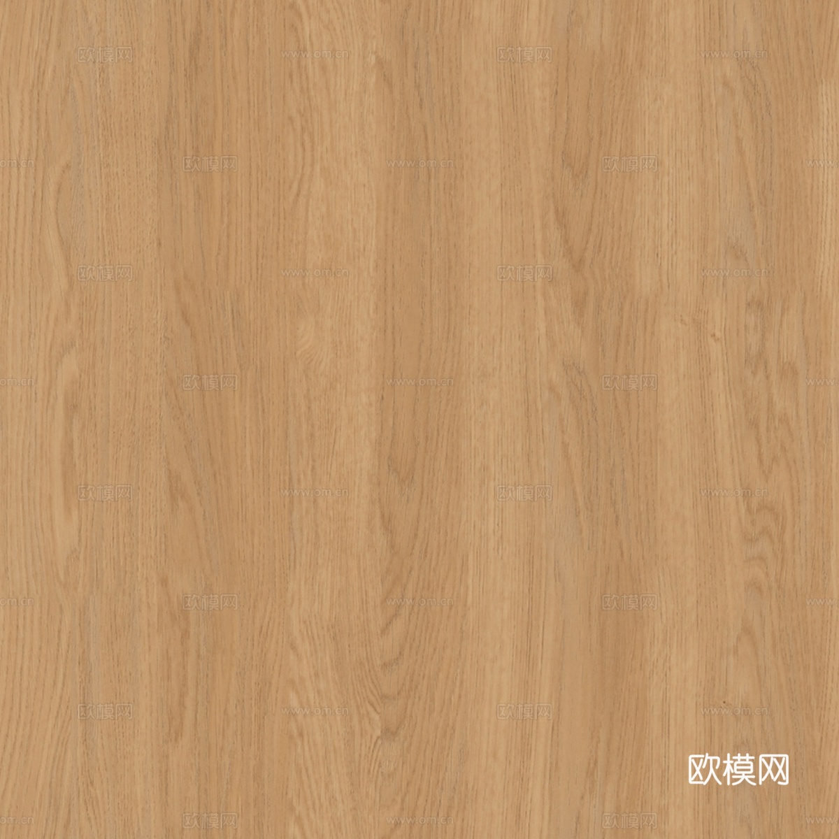 无缝浅色胡桃木纹木饰面