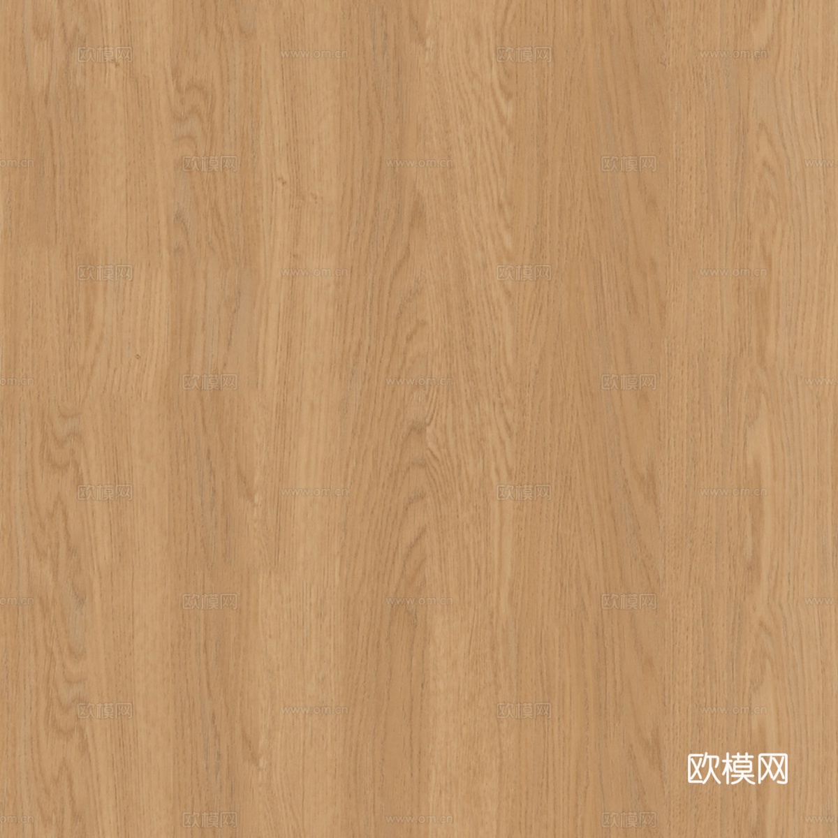 无缝浅色胡桃木纹木饰面